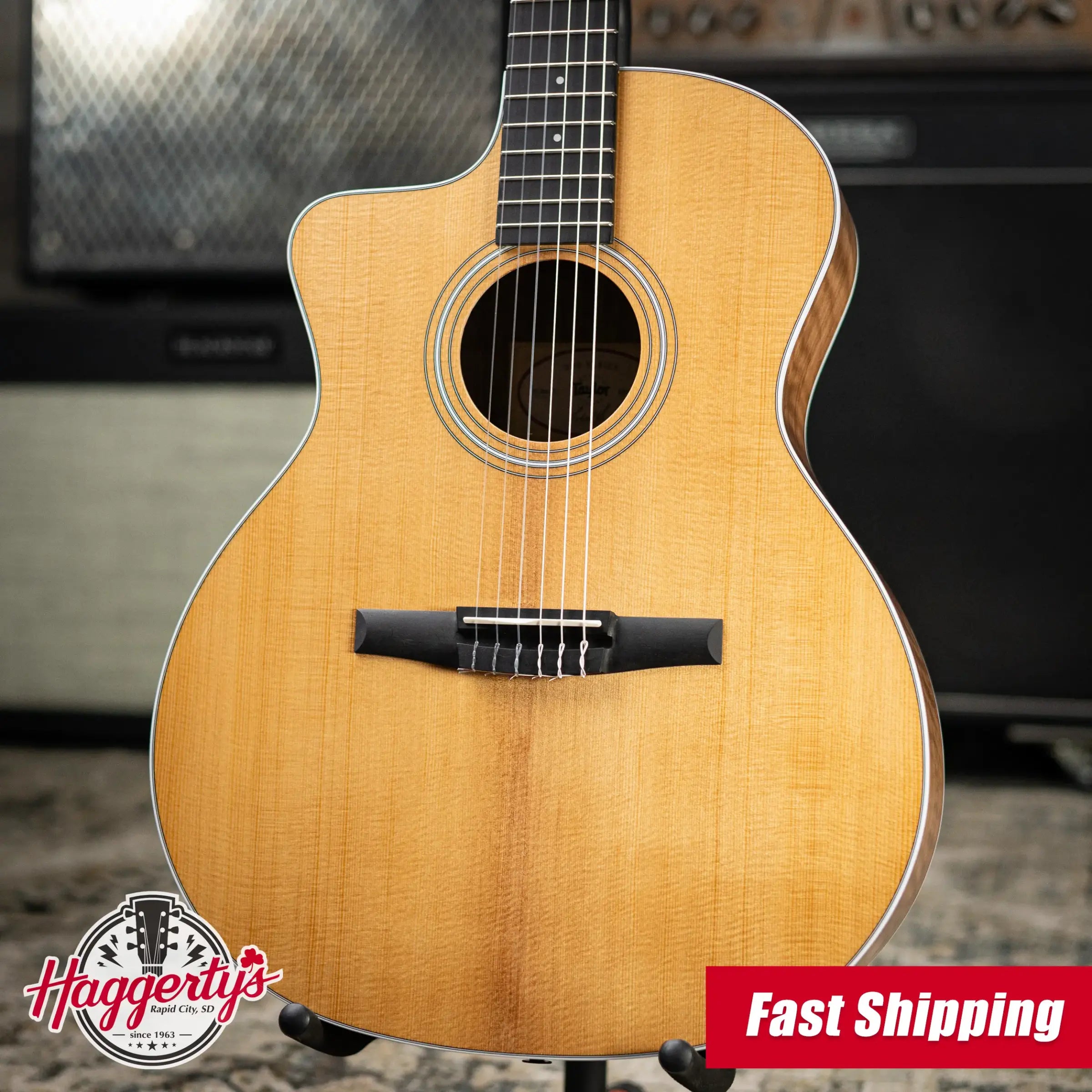Taylor 214ce-N Left-Handed Nylon Grand Auditorium Acoustic/Electric Guitar with Gig Bag
