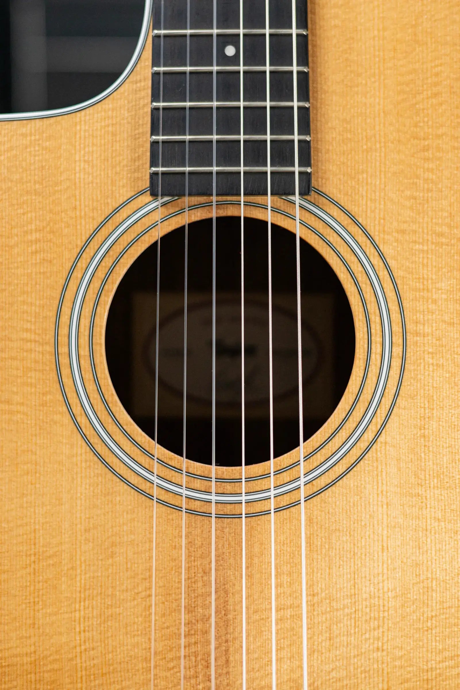 Taylor 214ce-N Left-Handed Nylon Grand Auditorium Acoustic/Electric Guitar with Gig Bag