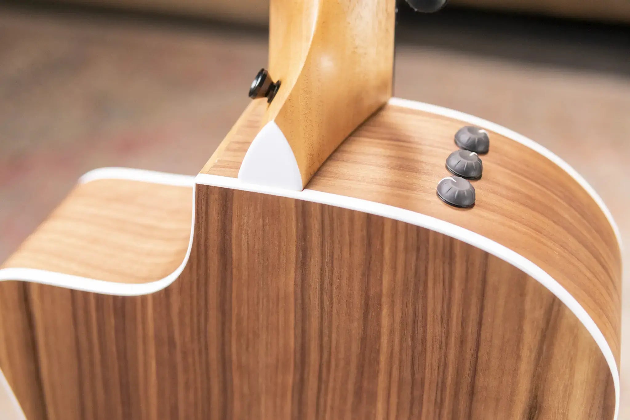 Taylor 214ce-N Nylon Grand Auditorium Acoustic/Electric Guitar with Gig Bag