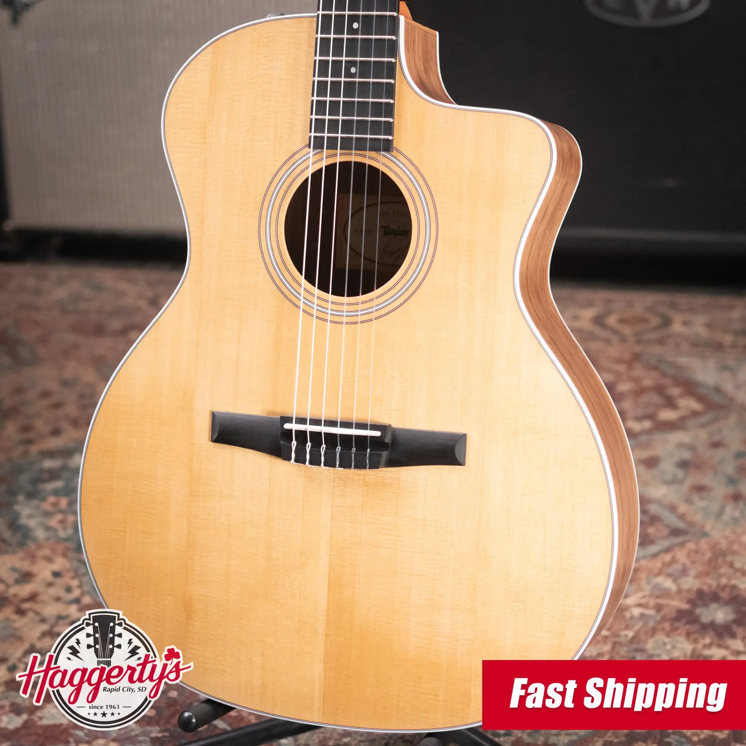 Taylor 214ce-N Nylon Grand Auditorium Acoustic/Electric Guitar with Gig Bag