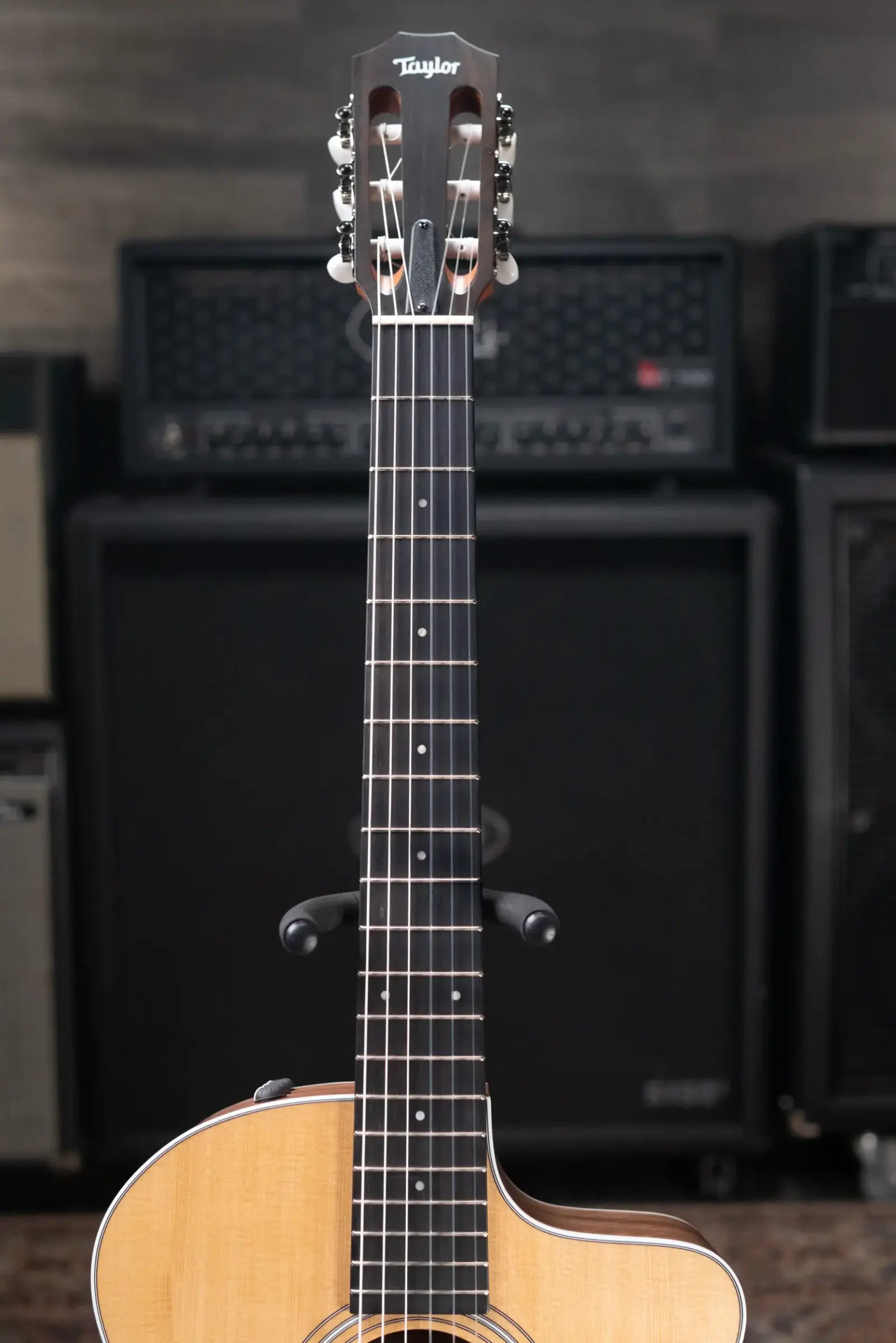 Taylor 214ce-N Nylon Grand Auditorium Acoustic/Electric Guitar with Gig Bag