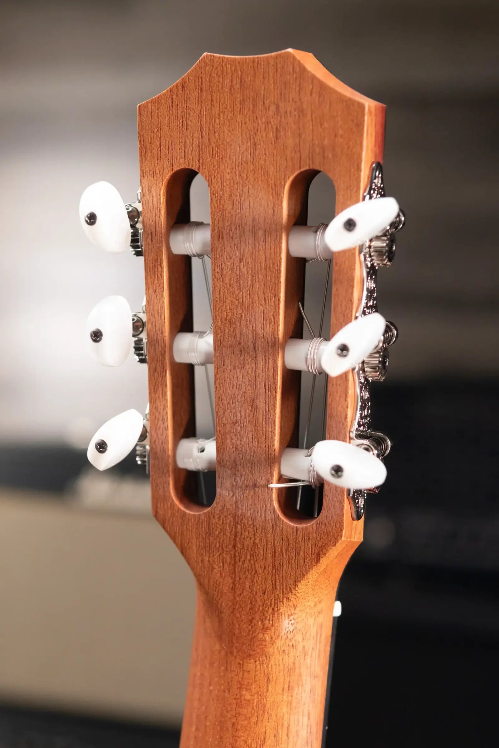 Taylor 214ce-N Nylon Grand Auditorium Acoustic/Electric Guitar with Gig Bag