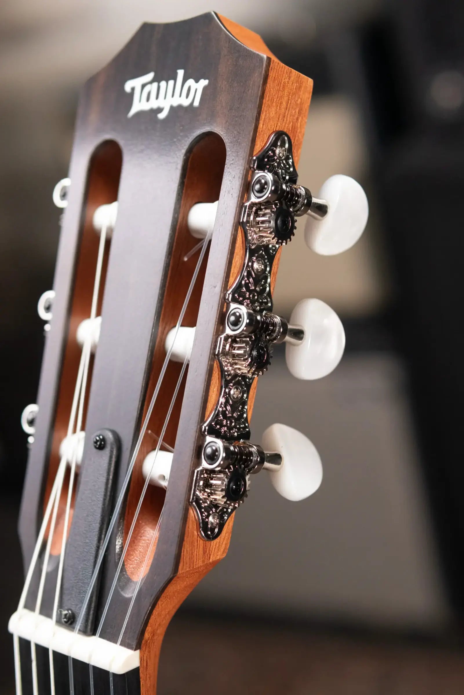 Taylor 214ce-N Nylon Grand Auditorium Acoustic/Electric Guitar with Gig Bag