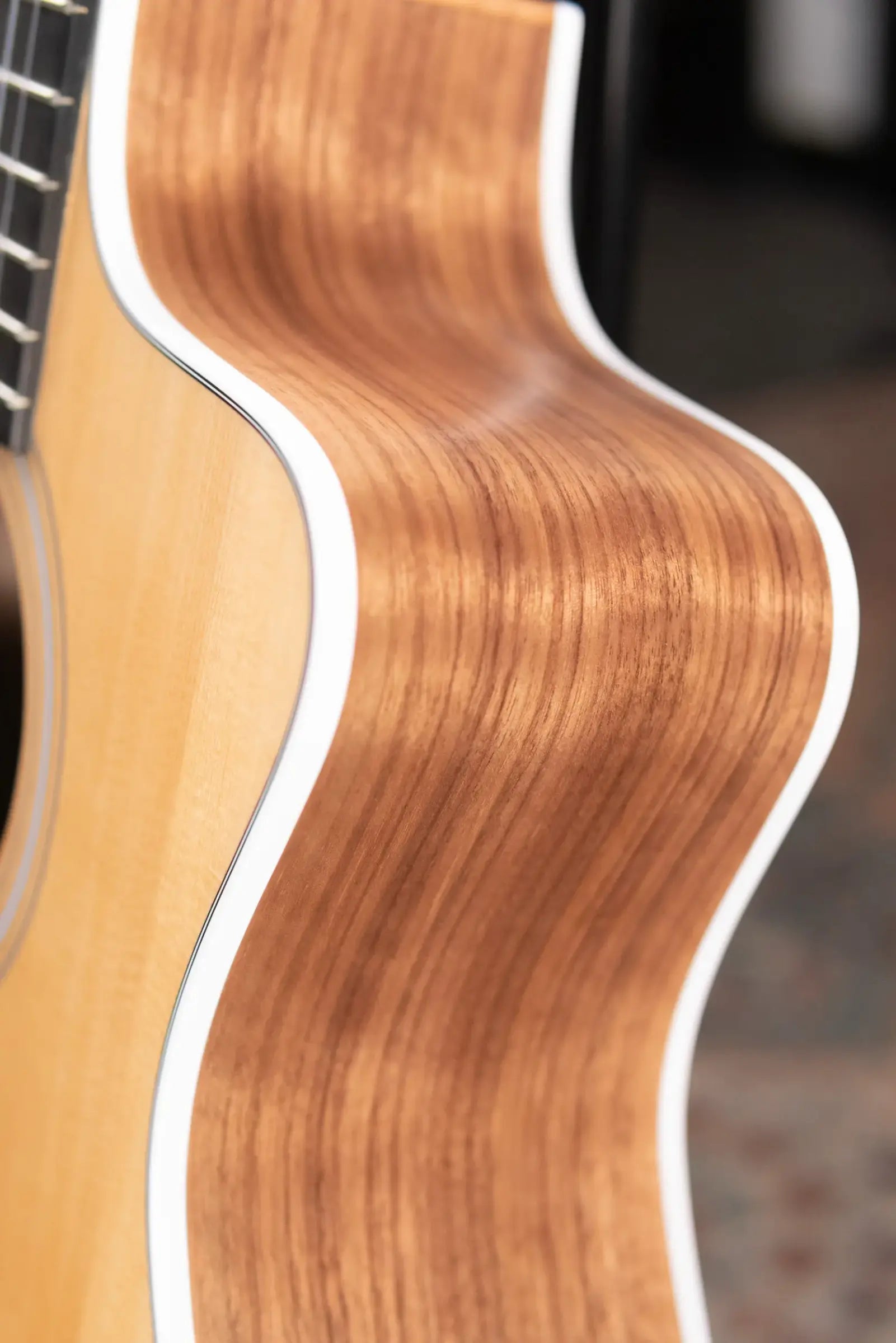 Taylor 214ce-N Nylon Grand Auditorium Acoustic/Electric Guitar with Gig Bag