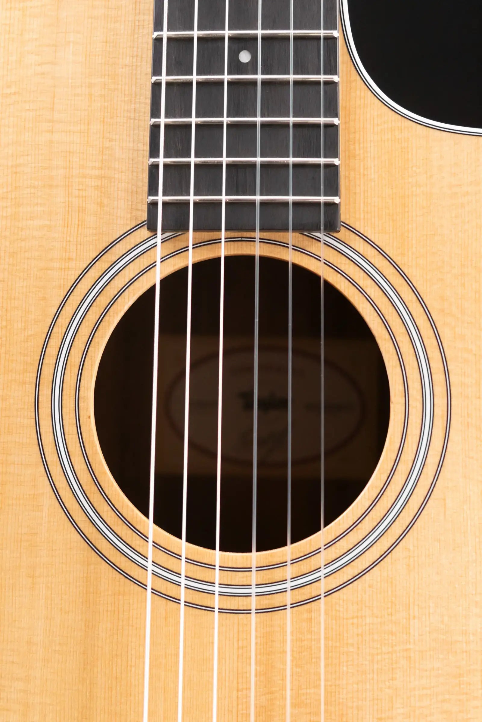 Taylor 214ce-N Nylon Grand Auditorium Acoustic/Electric Guitar with Gig Bag