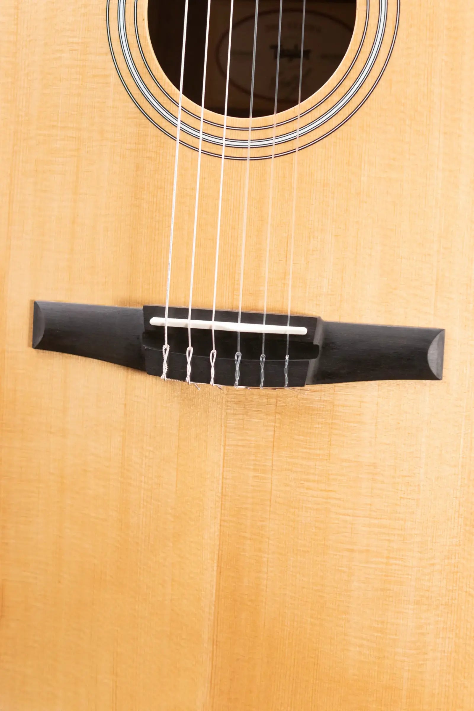 Taylor 214ce-N Nylon Grand Auditorium Acoustic/Electric Guitar with Gig Bag