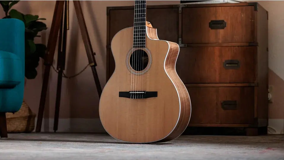Taylor 214ce-N Nylon Grand Auditorium Acoustic/Electric Guitar with Gig Bag