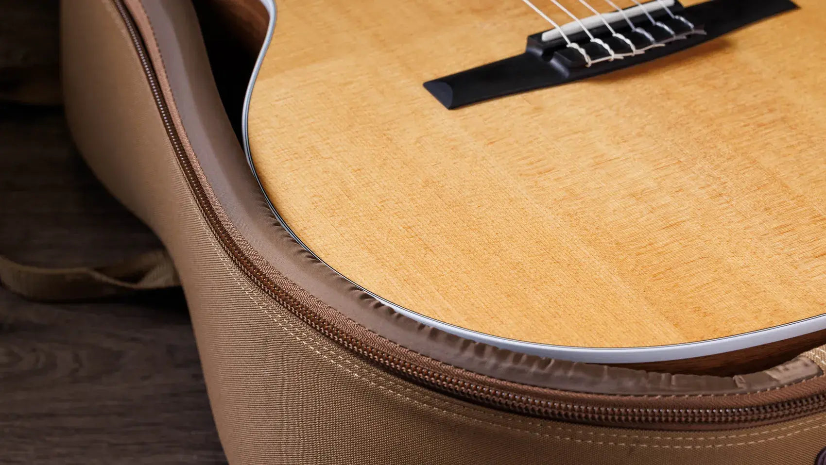 Taylor 214ce-N Nylon Grand Auditorium Acoustic/Electric Guitar with Gig Bag