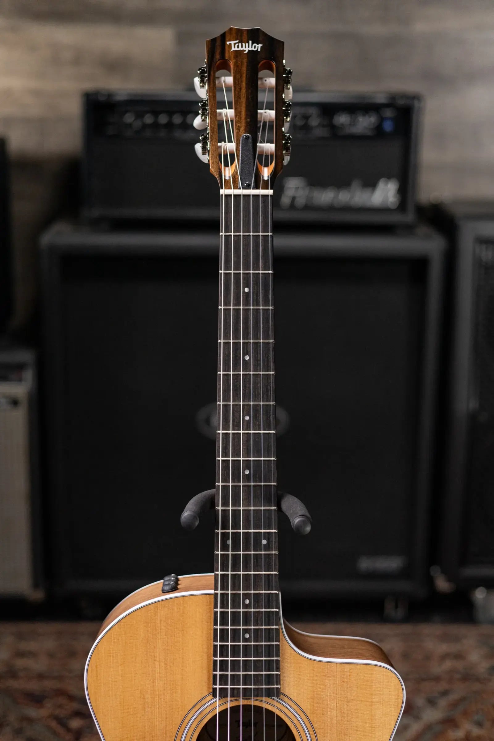 Taylor 214ce-N Nylon Grand Auditorium Acoustic/Electric Guitar with Gig Bag - Factory Demo