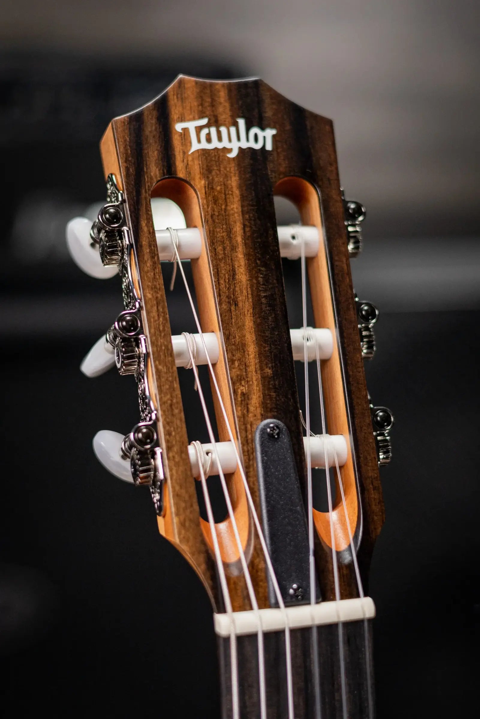 Taylor 214ce-N Nylon Grand Auditorium Acoustic/Electric Guitar with Gig Bag - Factory Demo
