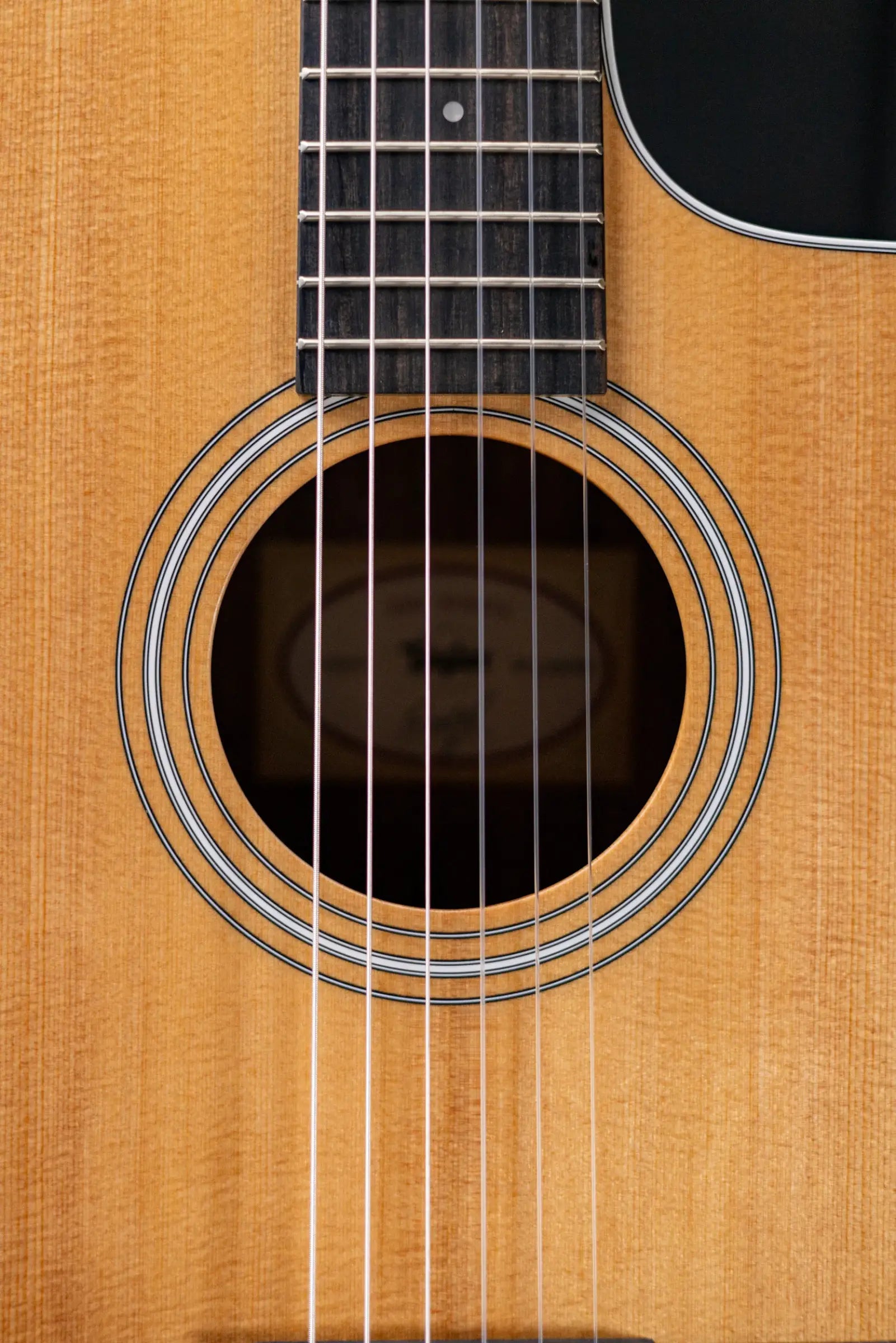 Taylor 214ce-N Nylon Grand Auditorium Acoustic/Electric Guitar with Gig Bag - Factory Demo