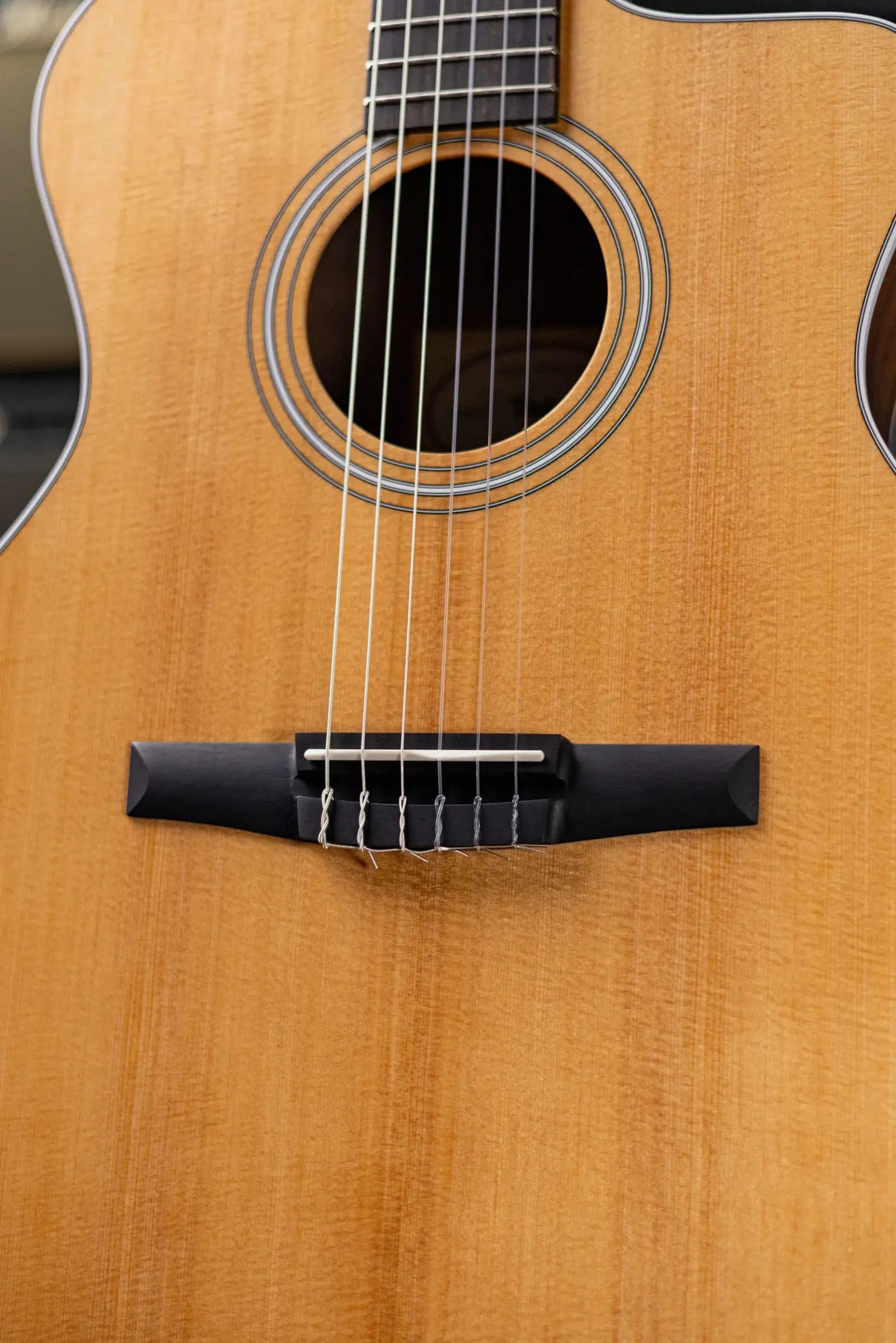 Taylor 214ce-N Nylon Grand Auditorium Acoustic/Electric Guitar with Gig Bag - Factory Demo