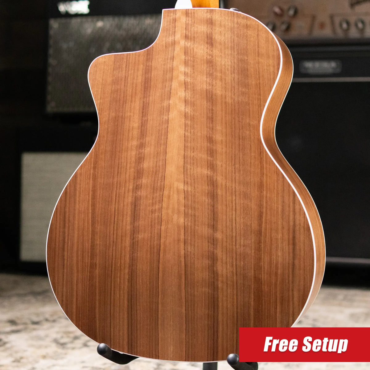 Taylor 214ce-N Nylon Grand Auditorium Acoustic/Electric Guitar with Gig Bag