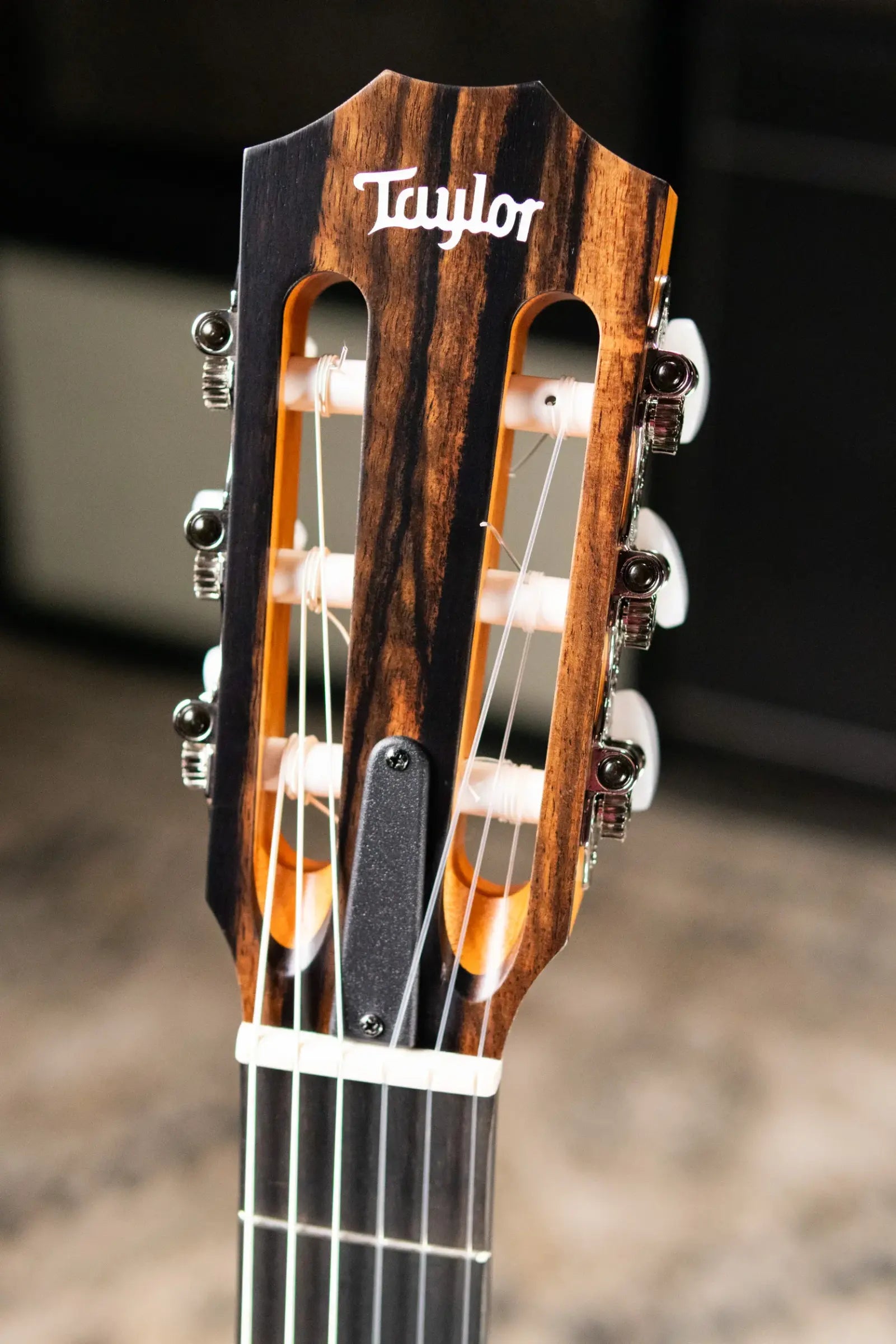 Taylor 214ce-N Nylon Grand Auditorium Acoustic/Electric Guitar with Gig Bag