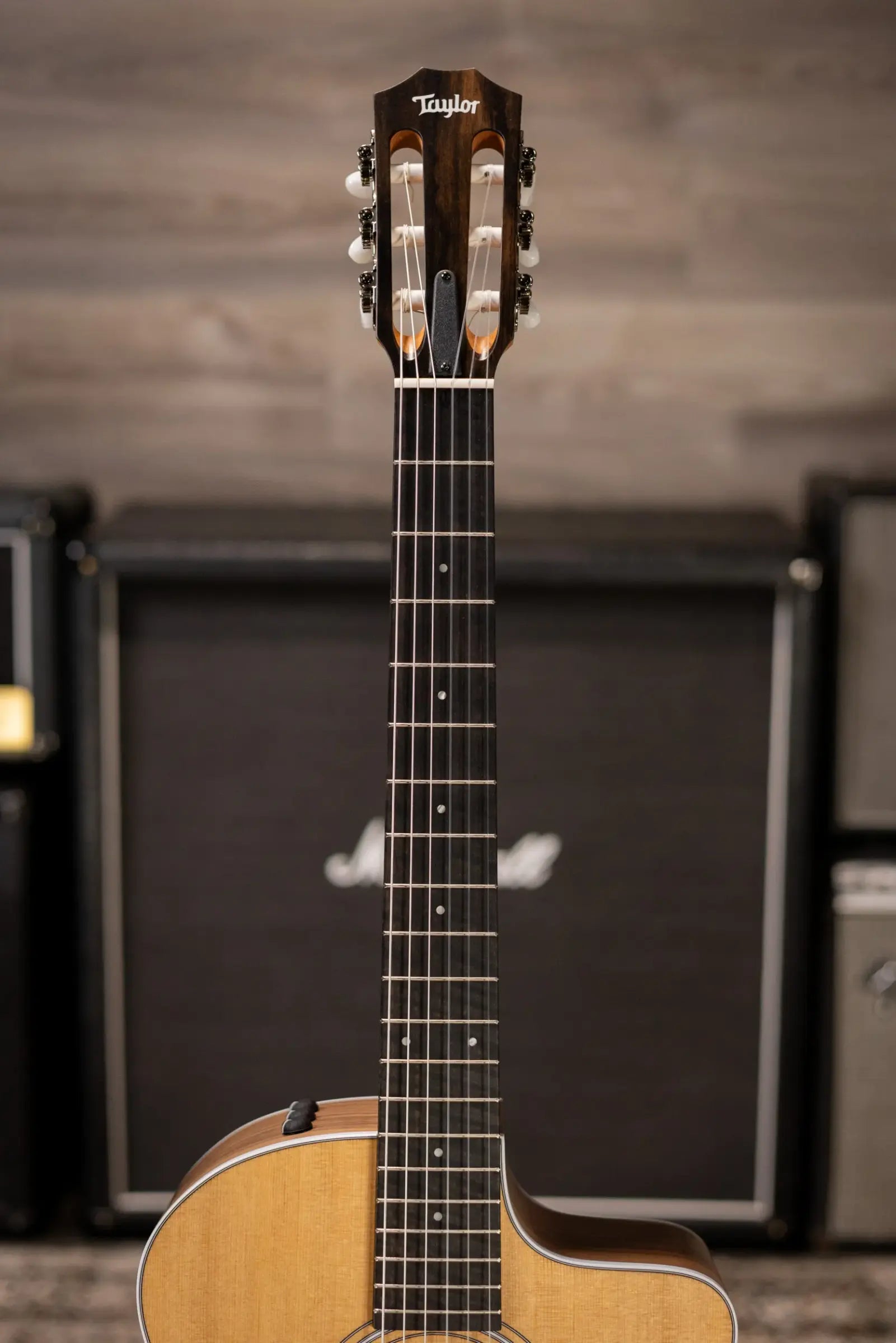 Taylor 214ce-N Nylon Grand Auditorium Acoustic/Electric Guitar with Gig Bag