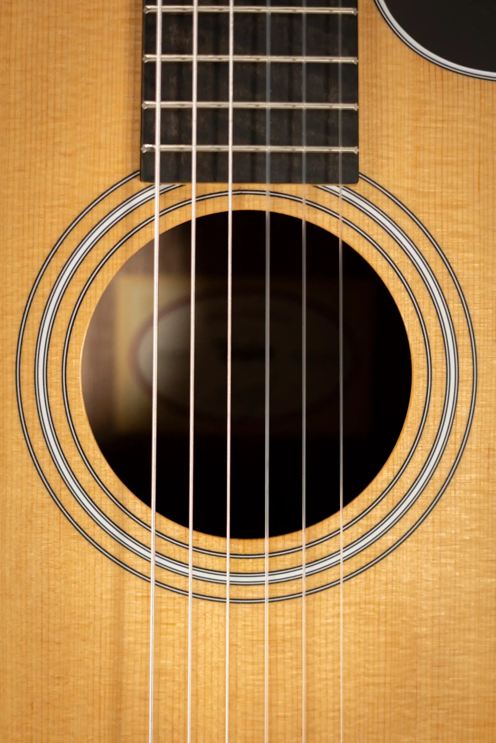 Taylor 214ce-N Nylon Grand Auditorium Acoustic/Electric Guitar with Gig Bag