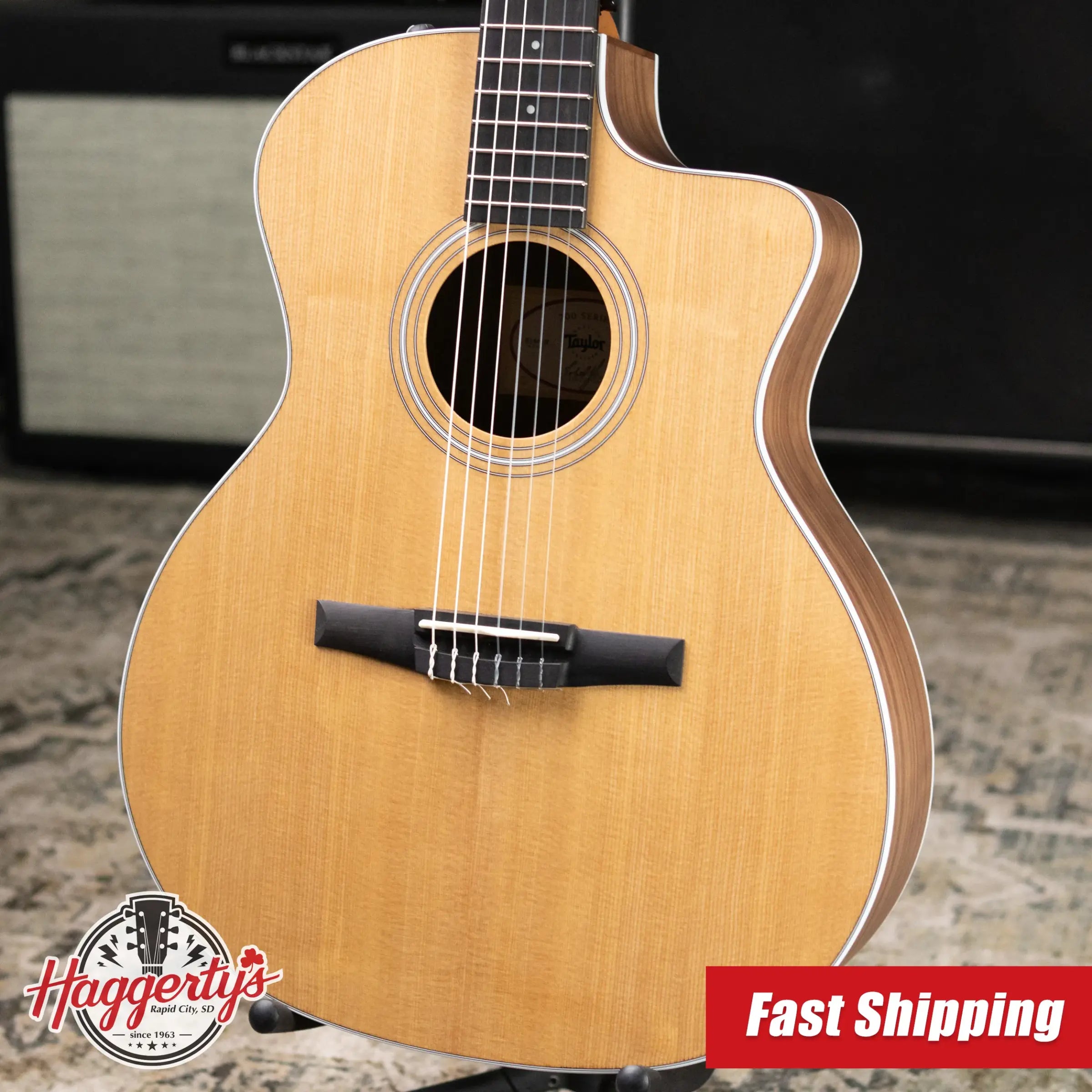 Taylor 214ce-N Nylon Grand Auditorium Acoustic/Electric Guitar with Gig Bag