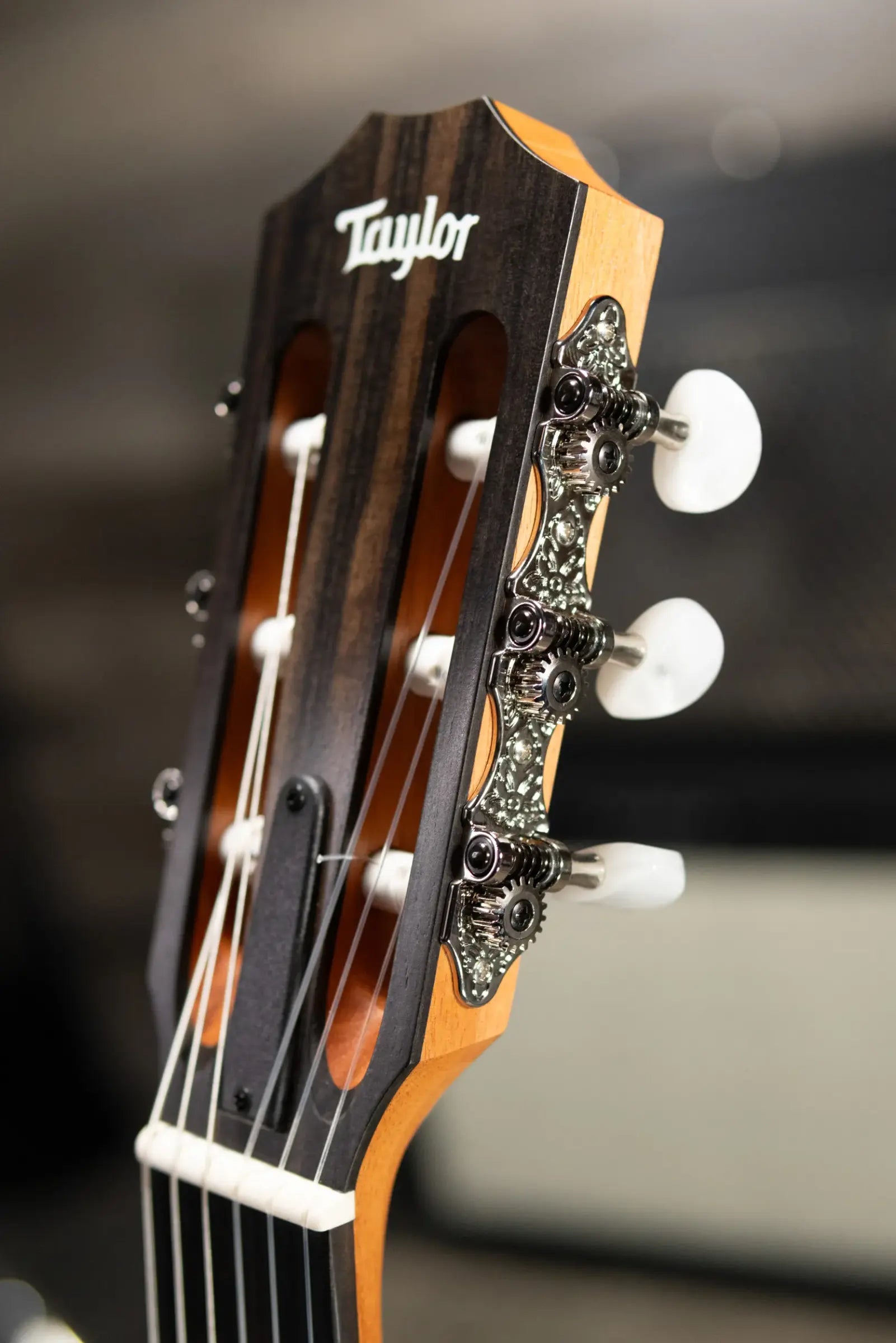 Taylor 214ce-N Nylon Grand Auditorium Acoustic/Electric Guitar with Gig Bag