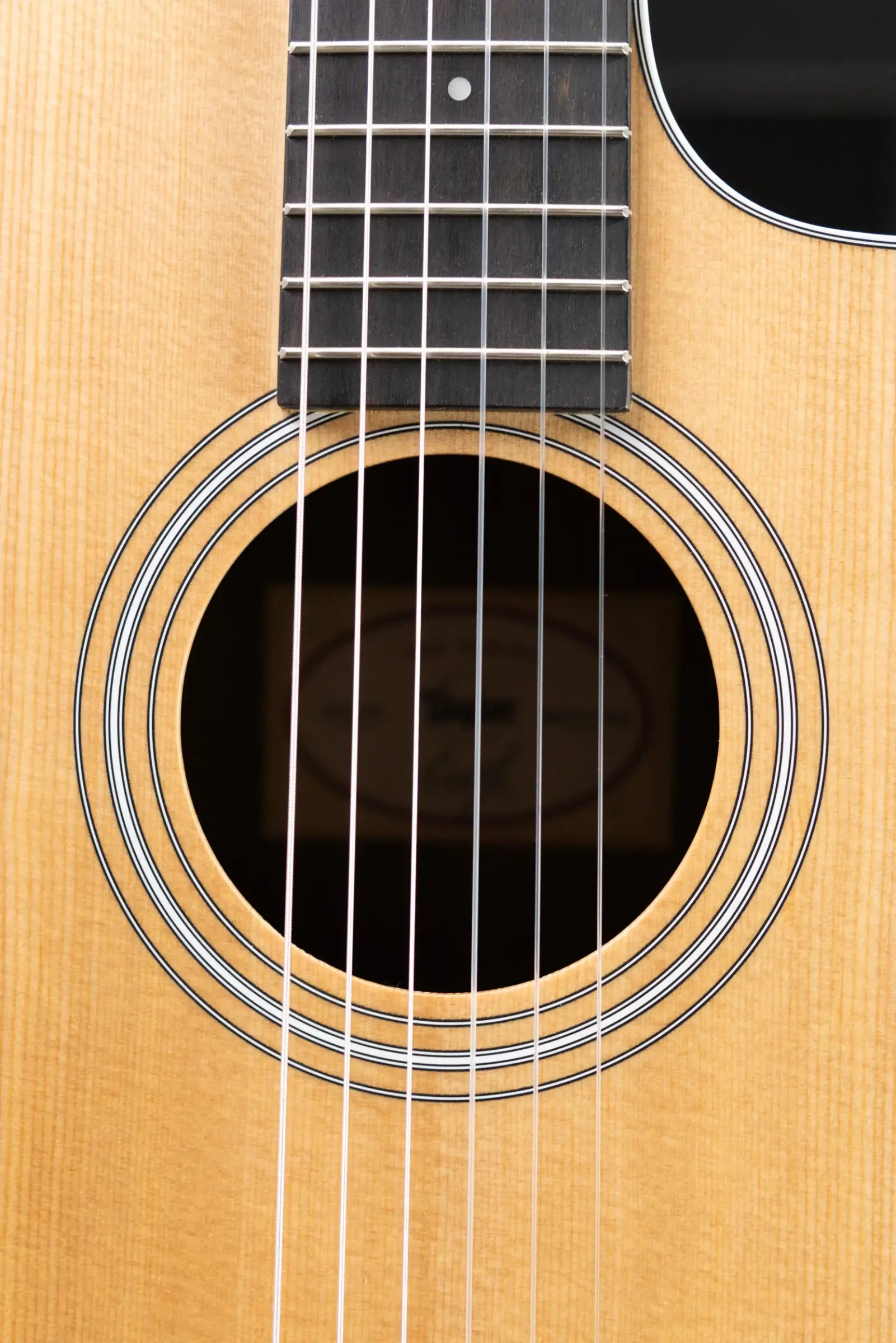 Taylor 214ce-N Nylon Grand Auditorium Acoustic/Electric Guitar with Gig Bag