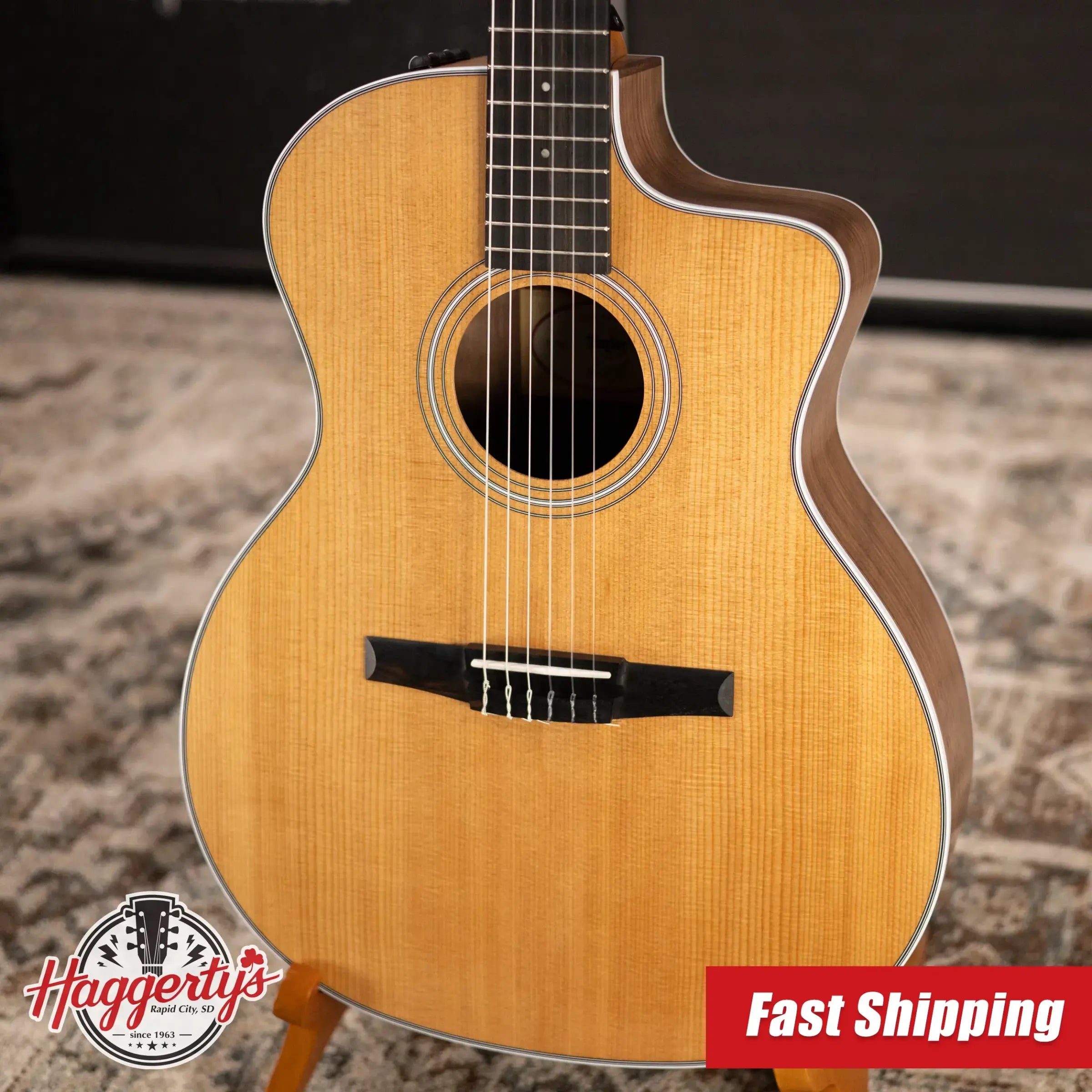 Taylor 214ce-N Nylon Grand Auditorium Acoustic/Electric Guitar with Gig Bag
