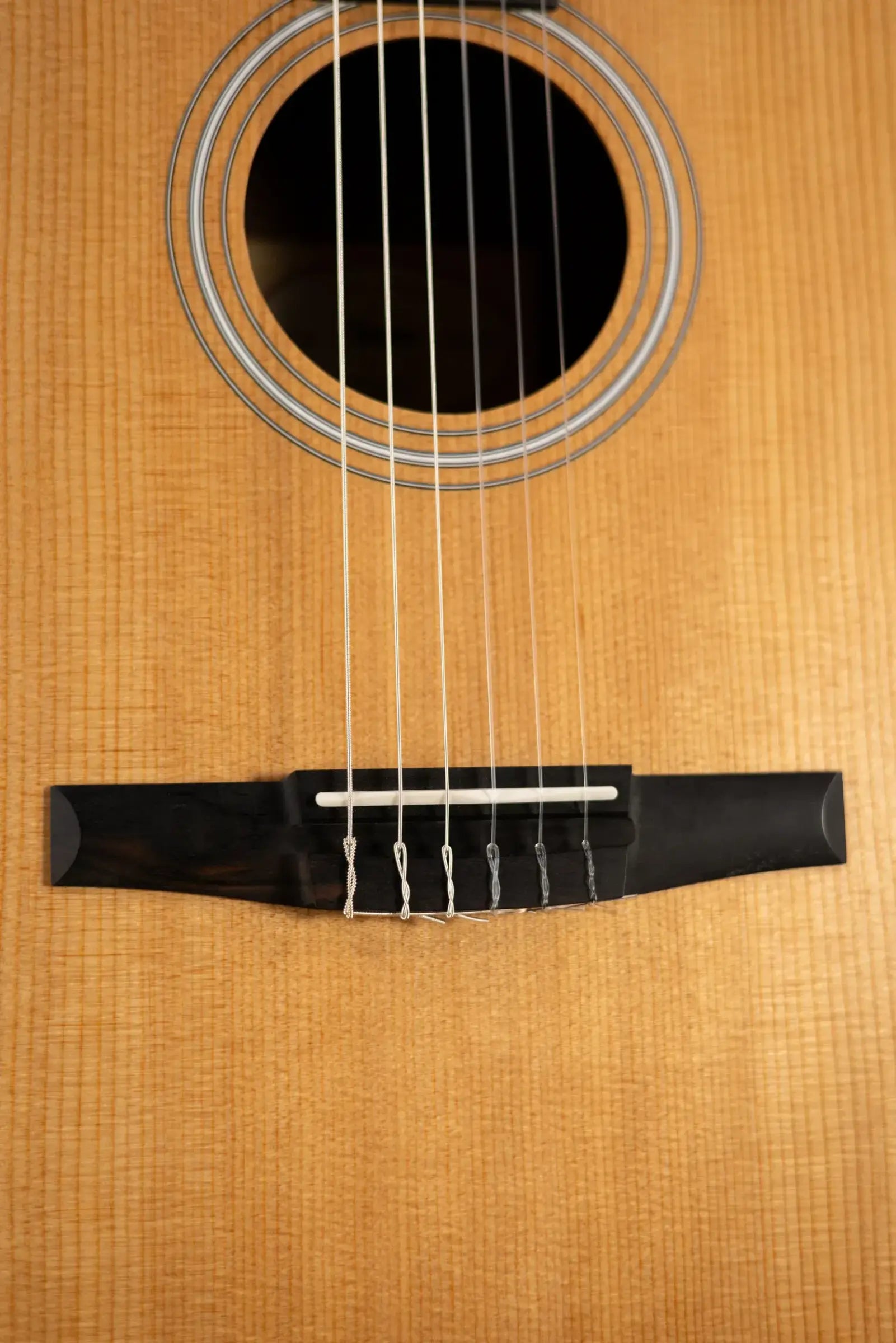 Taylor 214ce-N Nylon Grand Auditorium Acoustic/Electric Guitar with Gig Bag