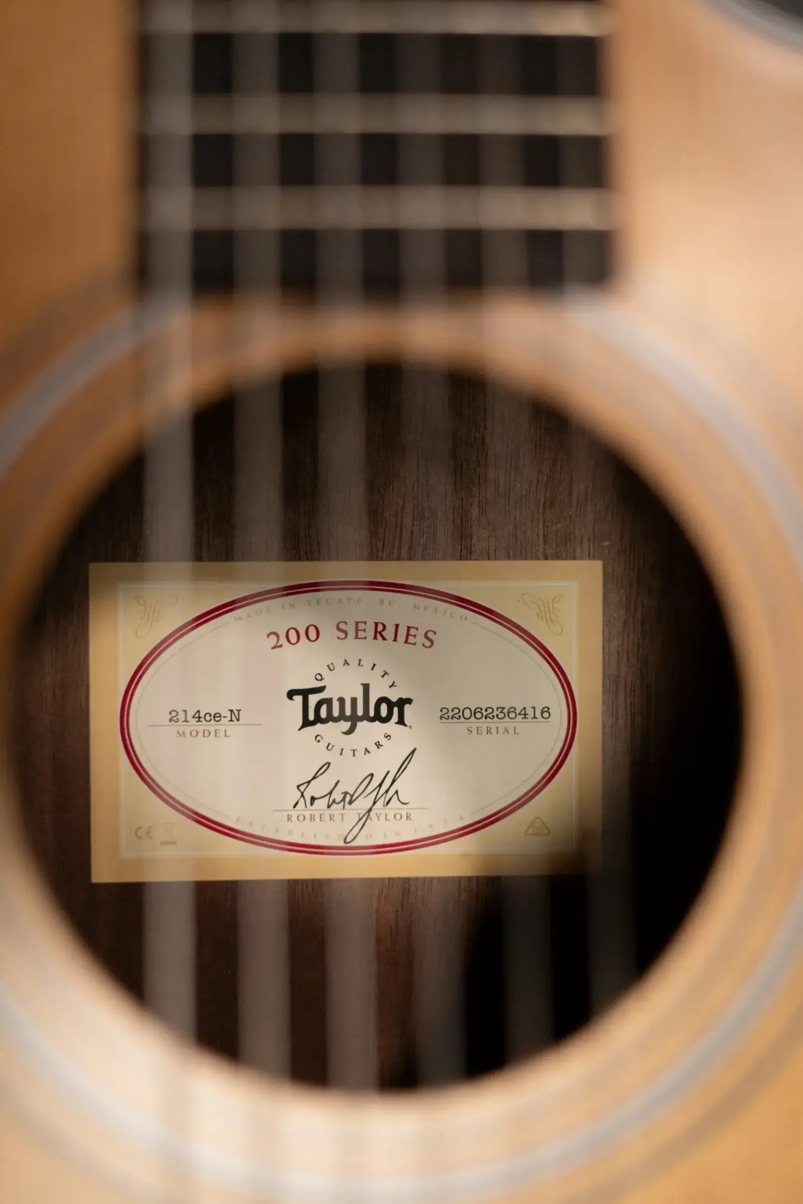 Taylor 214ce-N Nylon Grand Auditorium Acoustic/Electric Guitar with Gig Bag