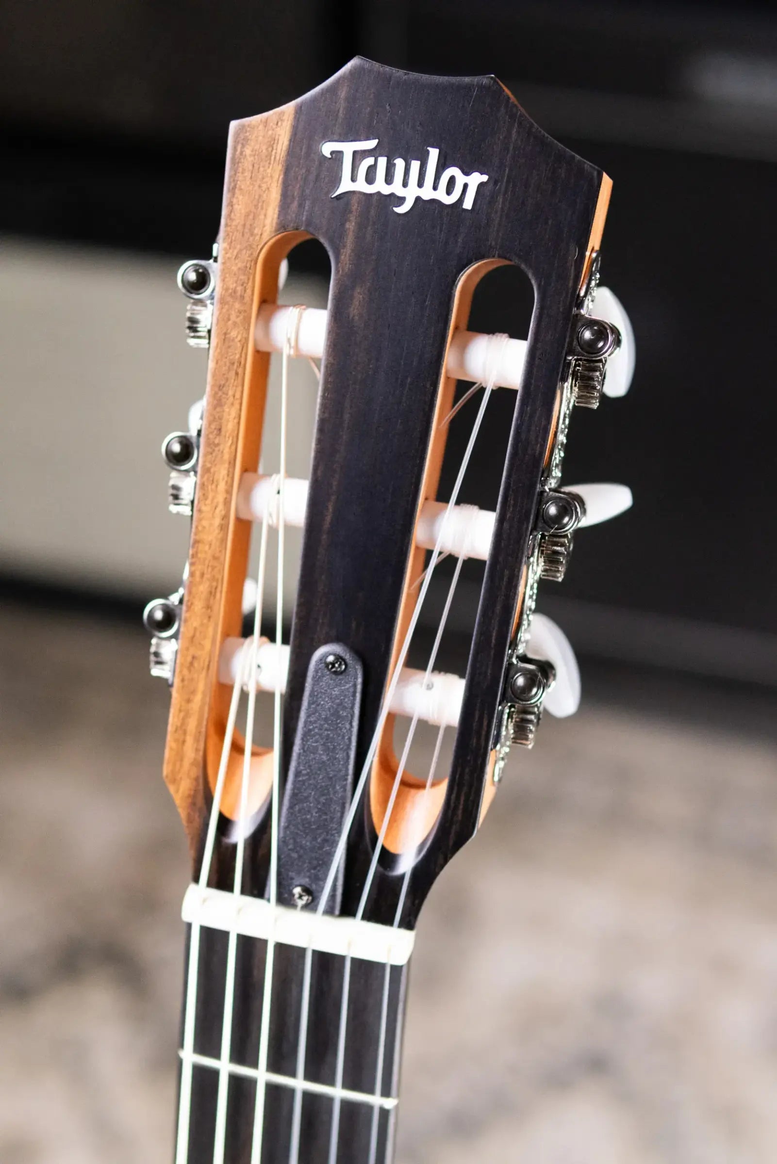 Taylor 214ce-N Nylon Grand Auditorium Acoustic/Electric Guitar with Gig Bag