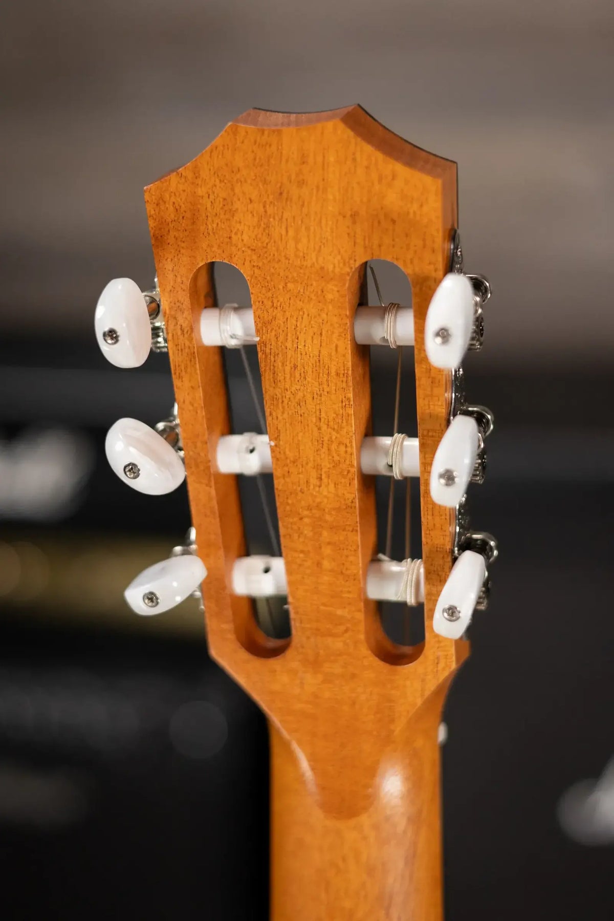 Taylor 214ce-N Plus Sunset Blvd Nylon Grand Auditorium Acoustic/Electric Guitar - Shaded Edge Burst with Aerocase