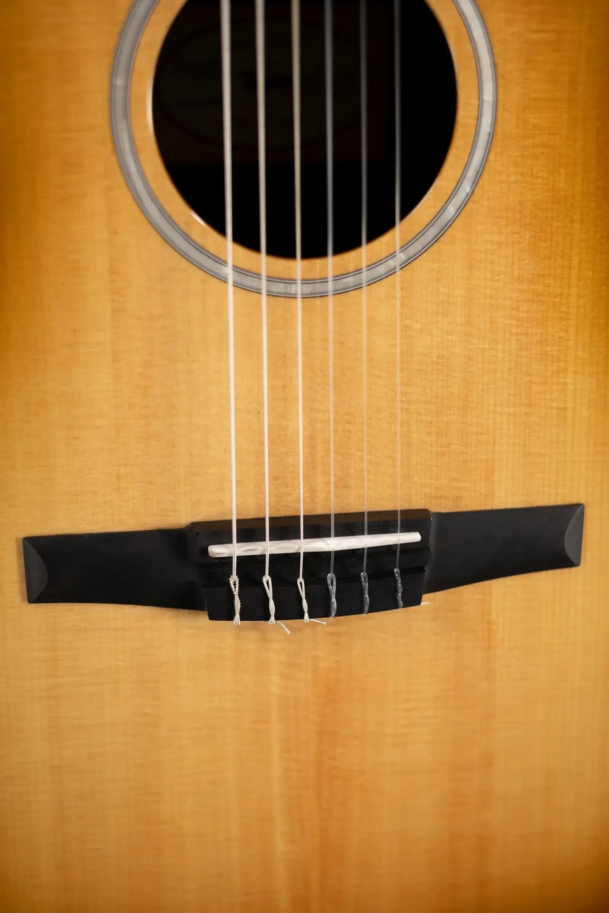 Taylor 214ce-N Plus Sunset Blvd Nylon Grand Auditorium Acoustic/Electric Guitar - Shaded Edge Burst with Aerocase