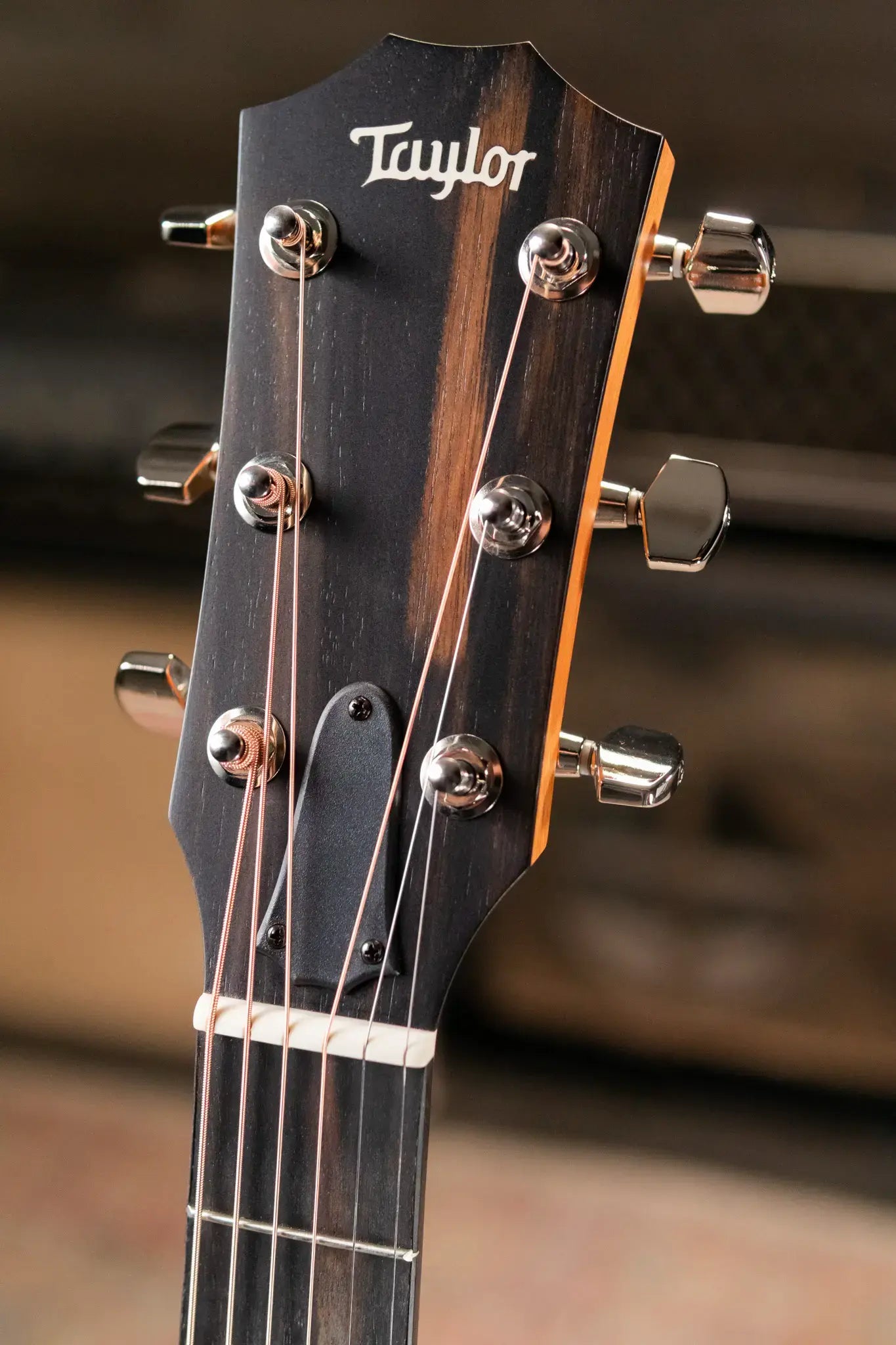 Taylor 214ce Plus Grand Auditorium Acoustic-Electric Guitar with AeroCase