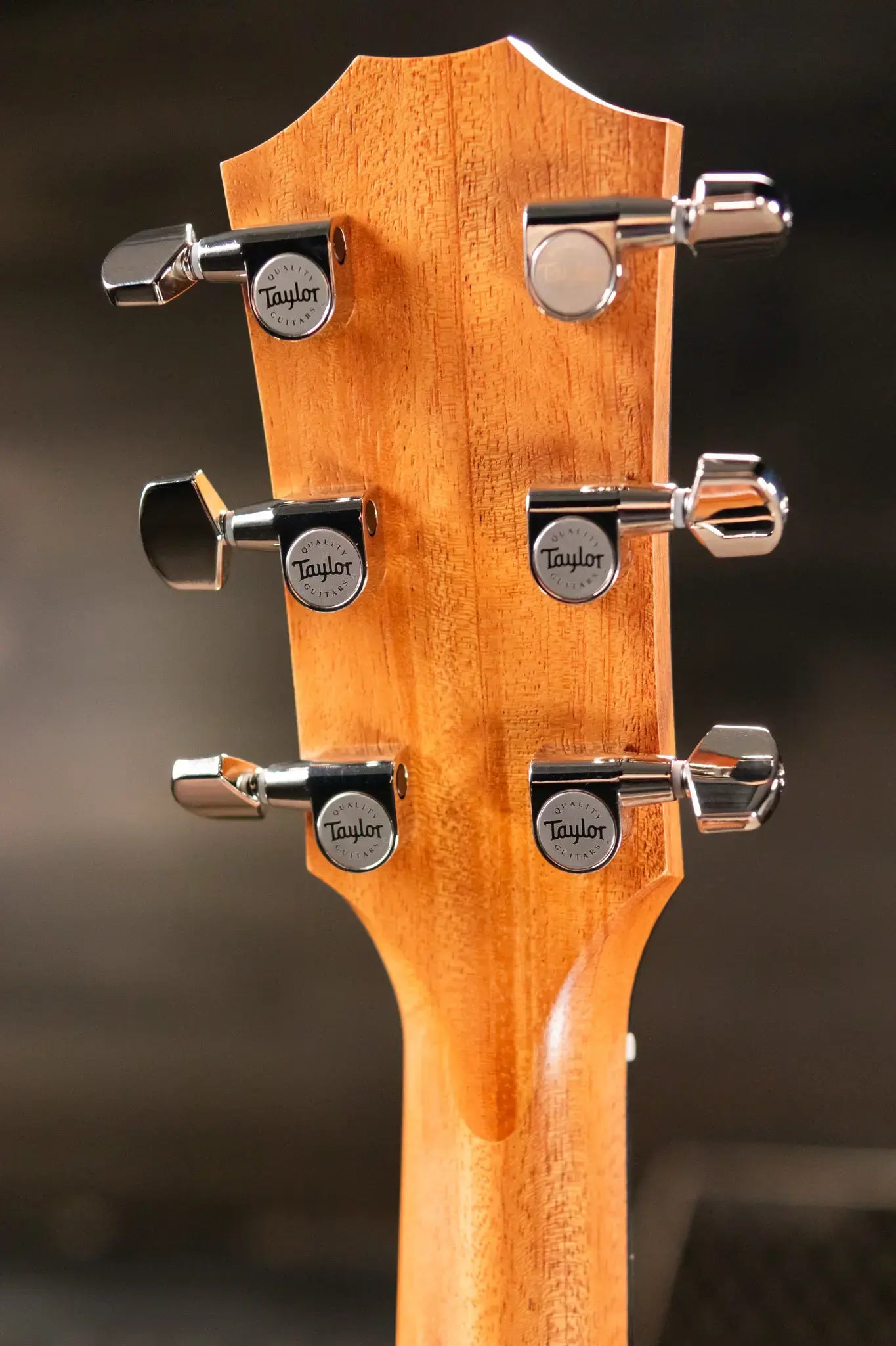 Taylor 214ce Plus Grand Auditorium Acoustic-Electric Guitar with AeroCase