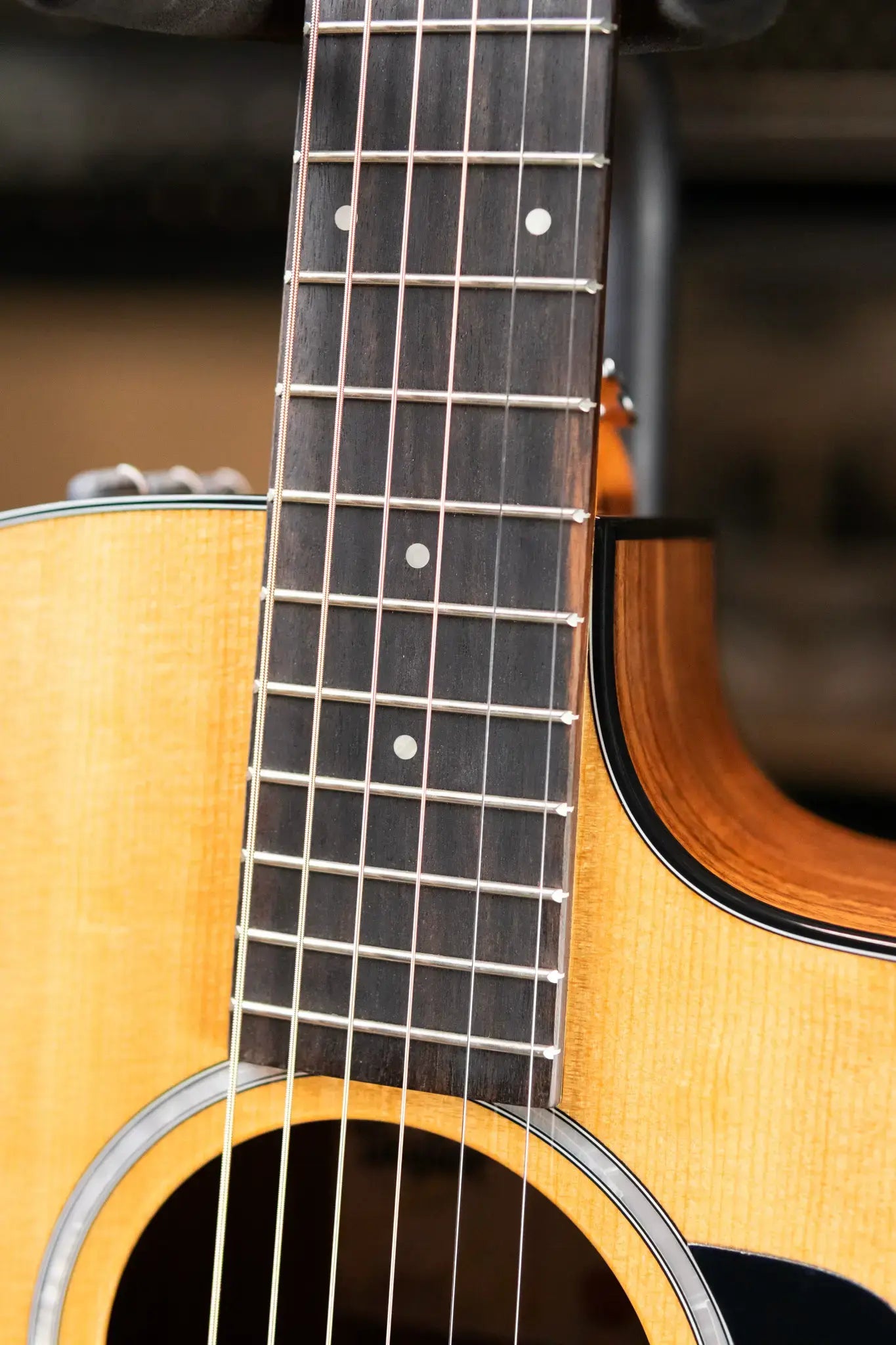 Taylor 214ce Plus Grand Auditorium Acoustic-Electric Guitar with AeroCase