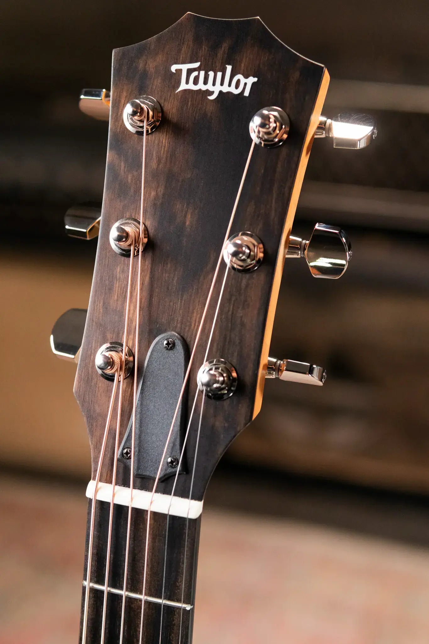 Taylor 214ce Plus Grand Auditorium Acoustic/Electric Guitar with Aerocase - Factory Demo