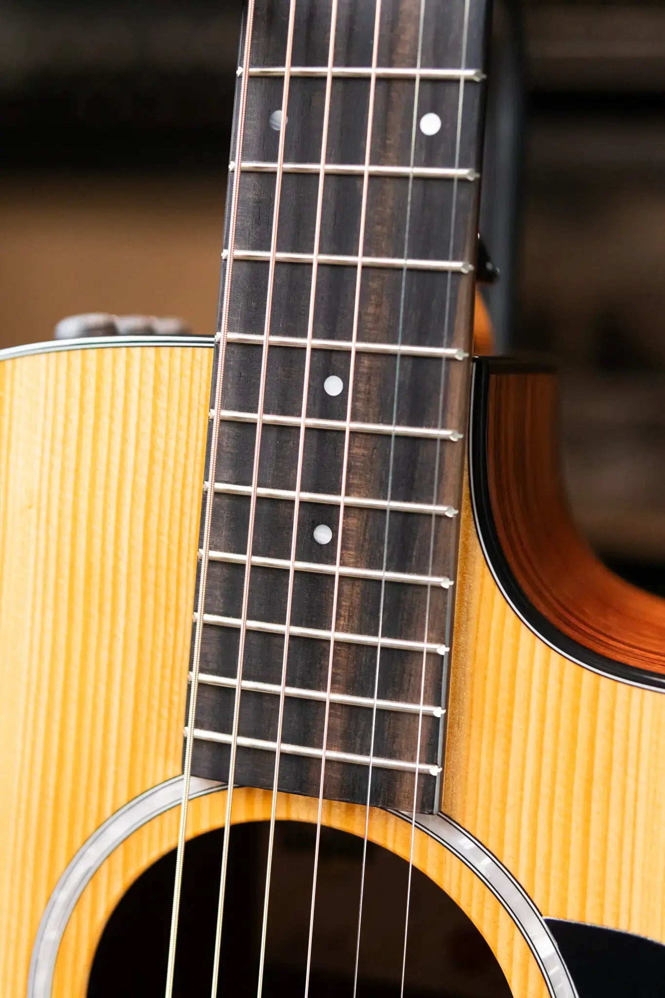 Taylor 214ce Plus Grand Auditorium Acoustic/Electric Guitar with Aerocase - Factory Demo