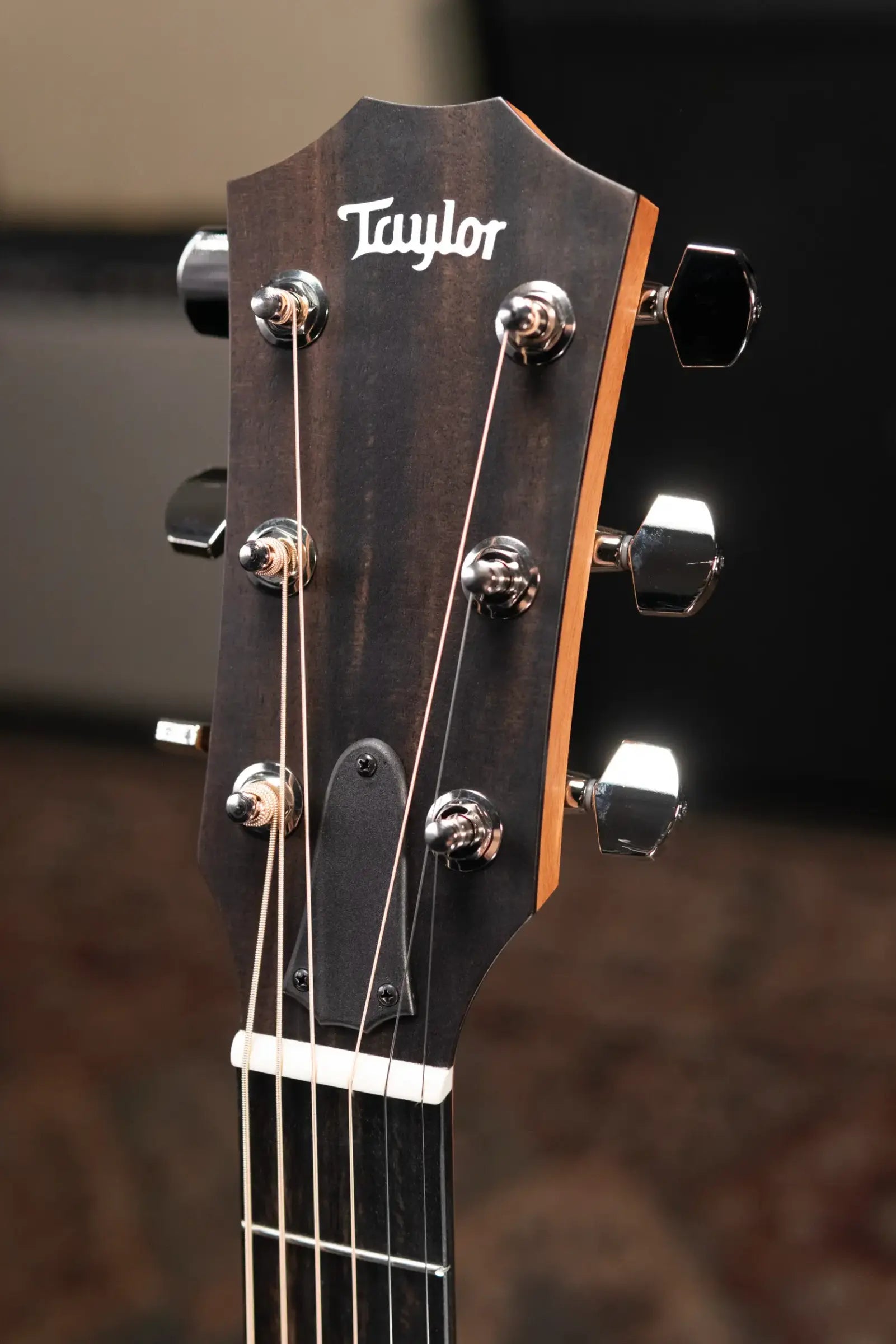 Taylor 214ce Plus Grand Auditorium Acoustic/Electric Guitar with Aerocase