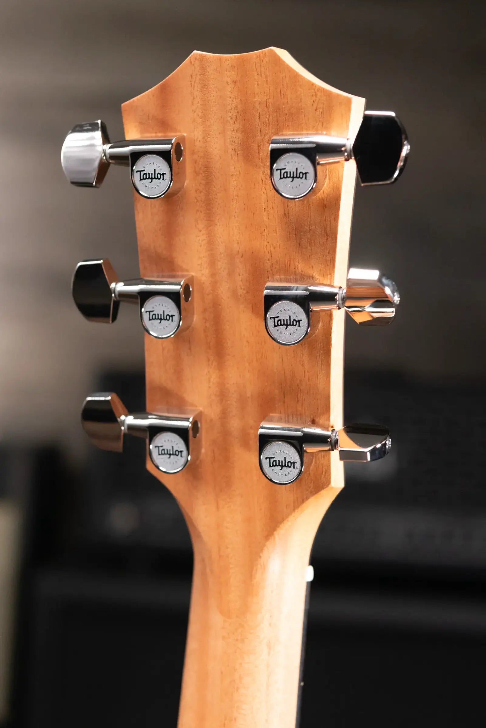 Taylor 214ce Plus Grand Auditorium Acoustic/Electric Guitar with Aerocase