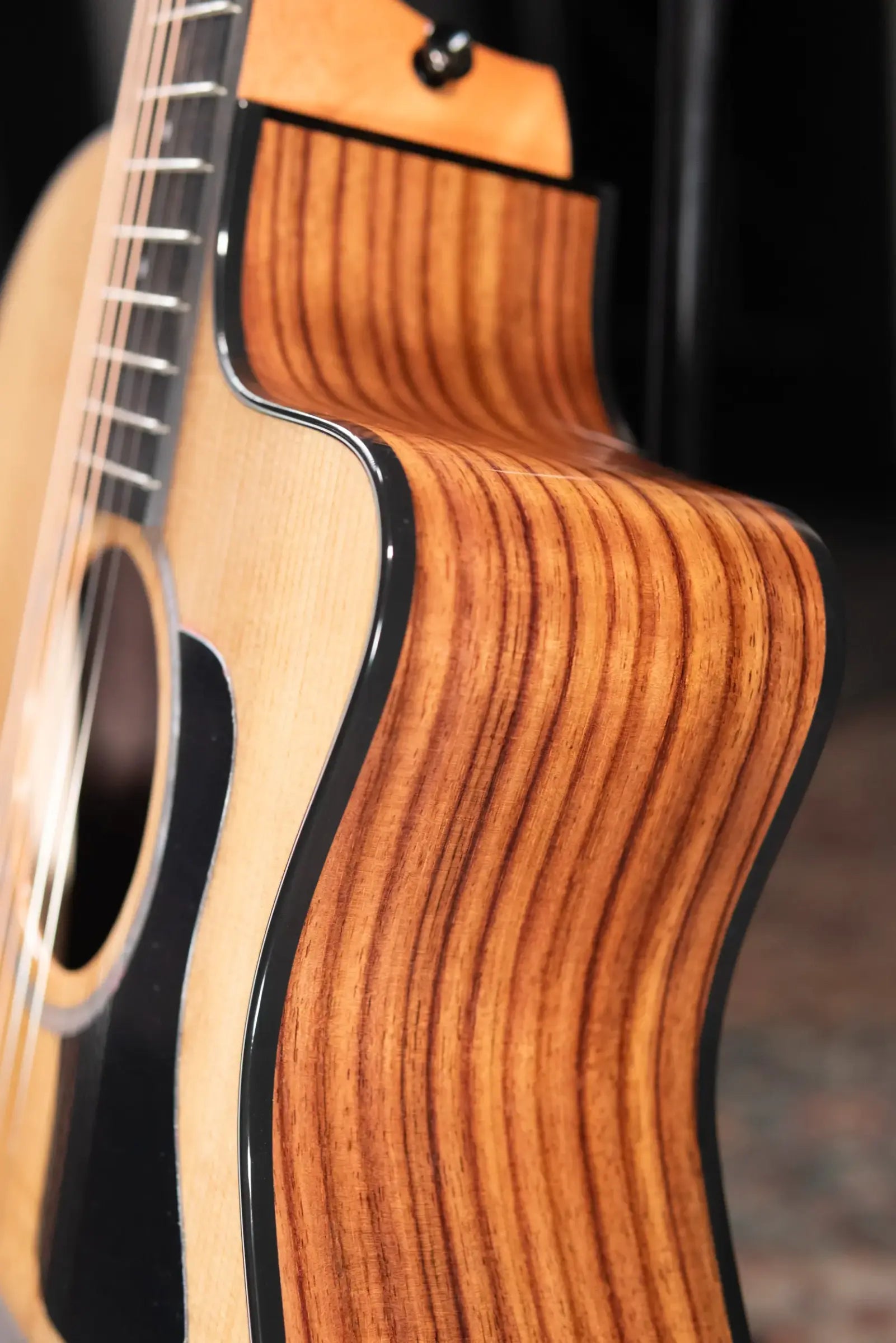 Taylor 214ce Plus Grand Auditorium Acoustic/Electric Guitar with Aerocase