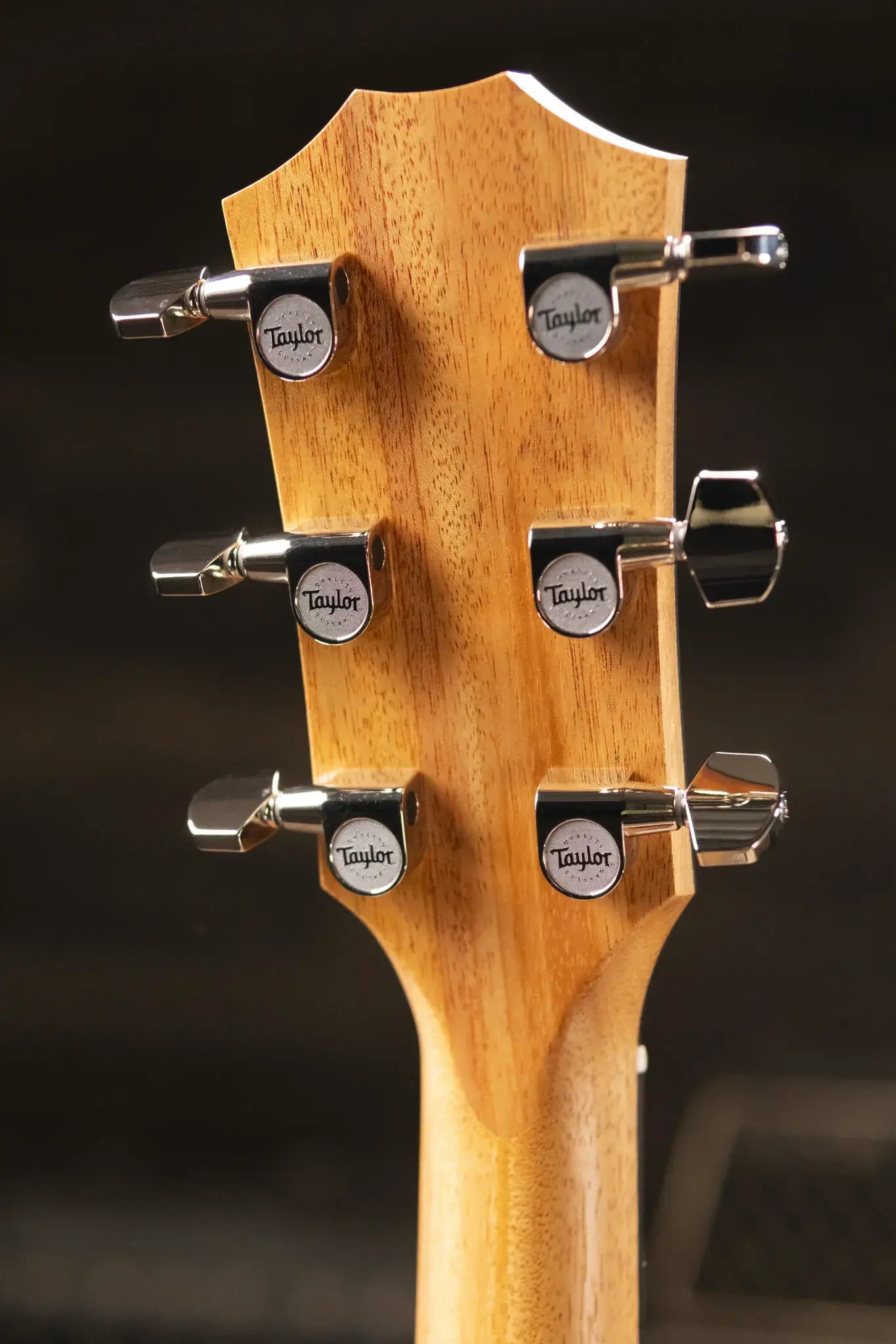 Taylor 214ce Plus Grand Auditorium Acoustic/Electric Guitar with Aerocase