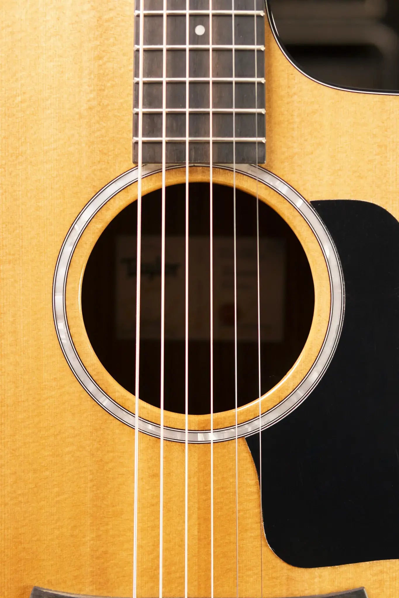 Taylor 214ce Plus Grand Auditorium Acoustic/Electric Guitar with Aerocase