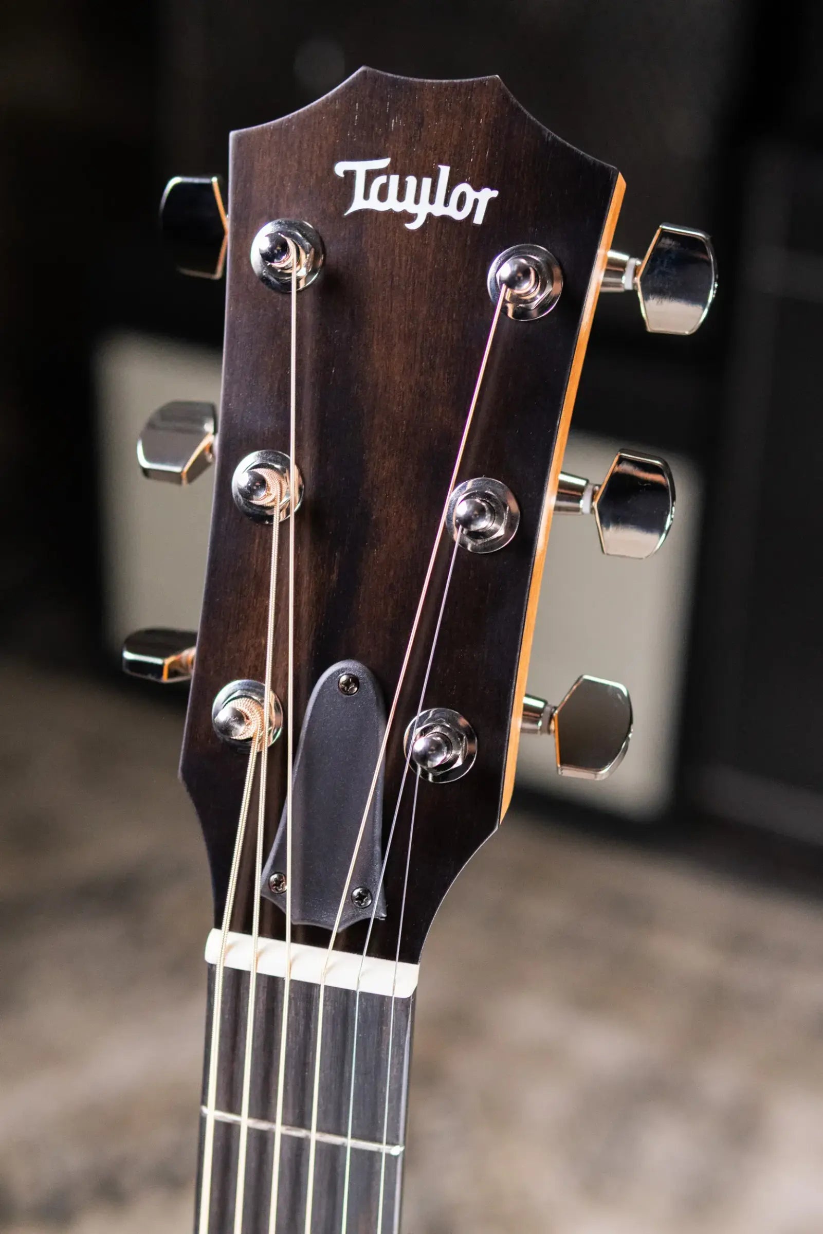 Taylor 214ce Plus Grand Auditorium Acoustic/Electric Guitar with Aerocase