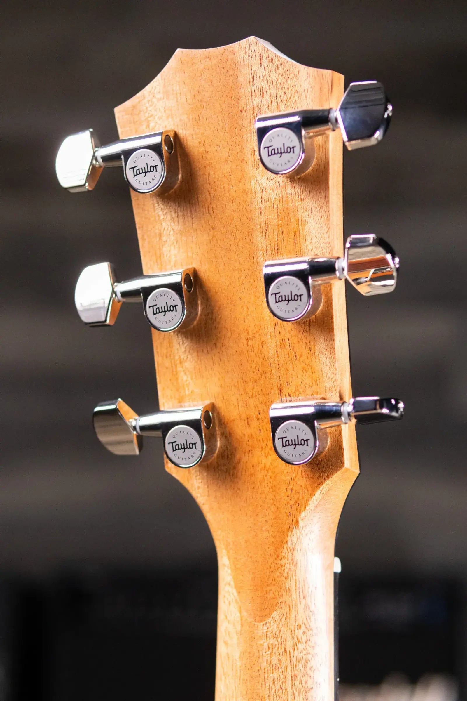 Taylor 214ce Plus Grand Auditorium Acoustic/Electric Guitar with Aerocase