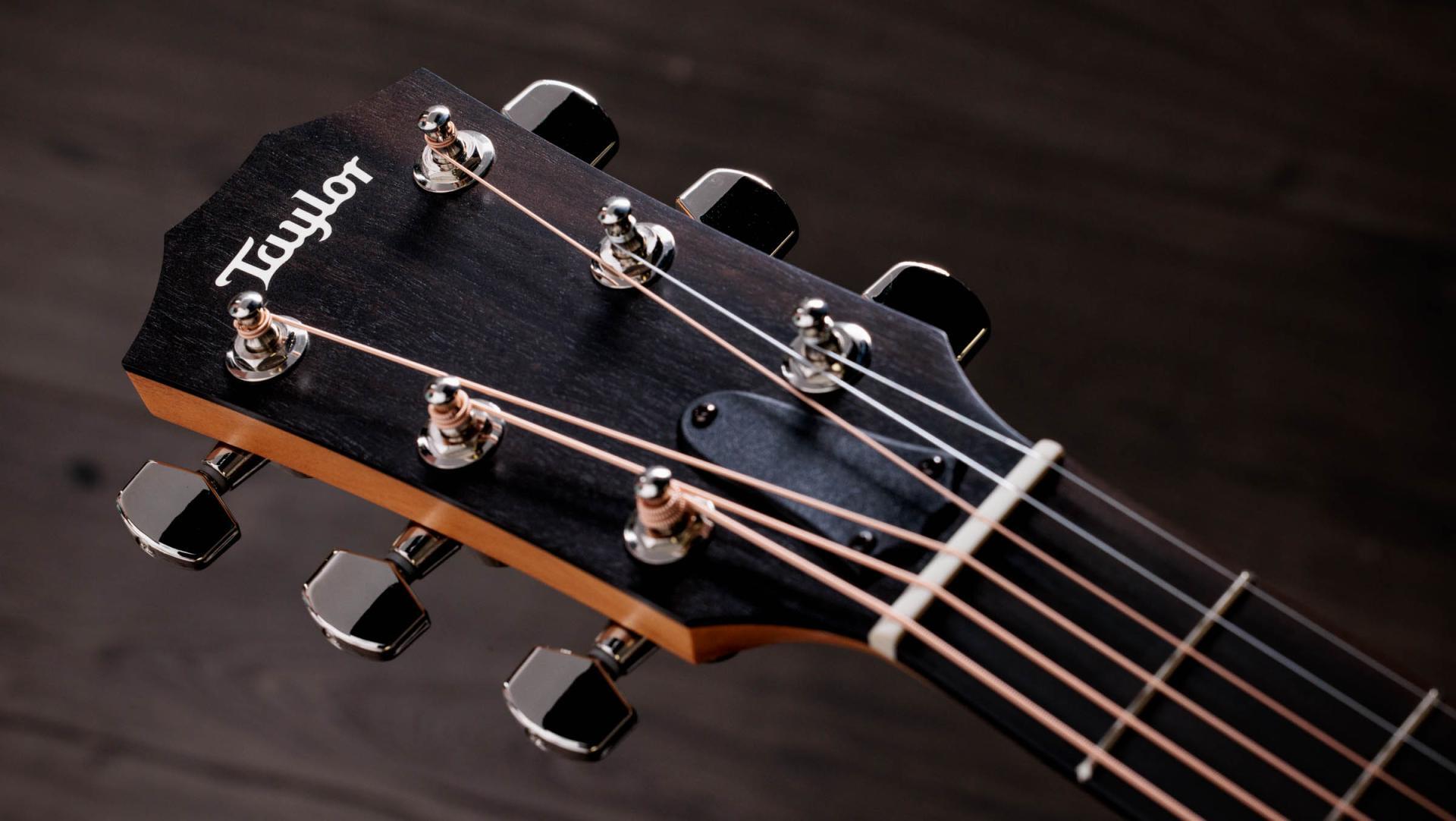Taylor 214ce Plus Grand Auditorium Acoustic/Electric with AeroCase