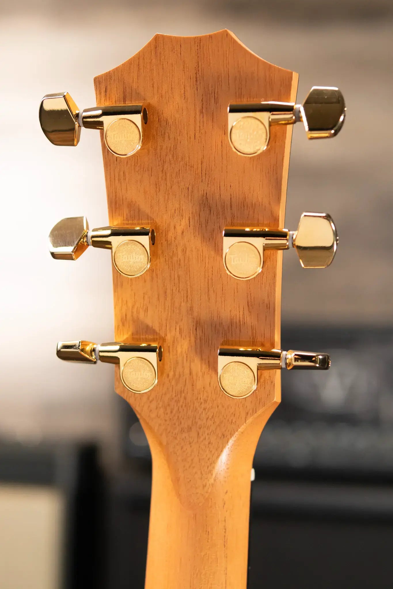Taylor 214ce Plus LTD 50th Anniversary Grand Auditorium Acoustic/Electric with Aerocase