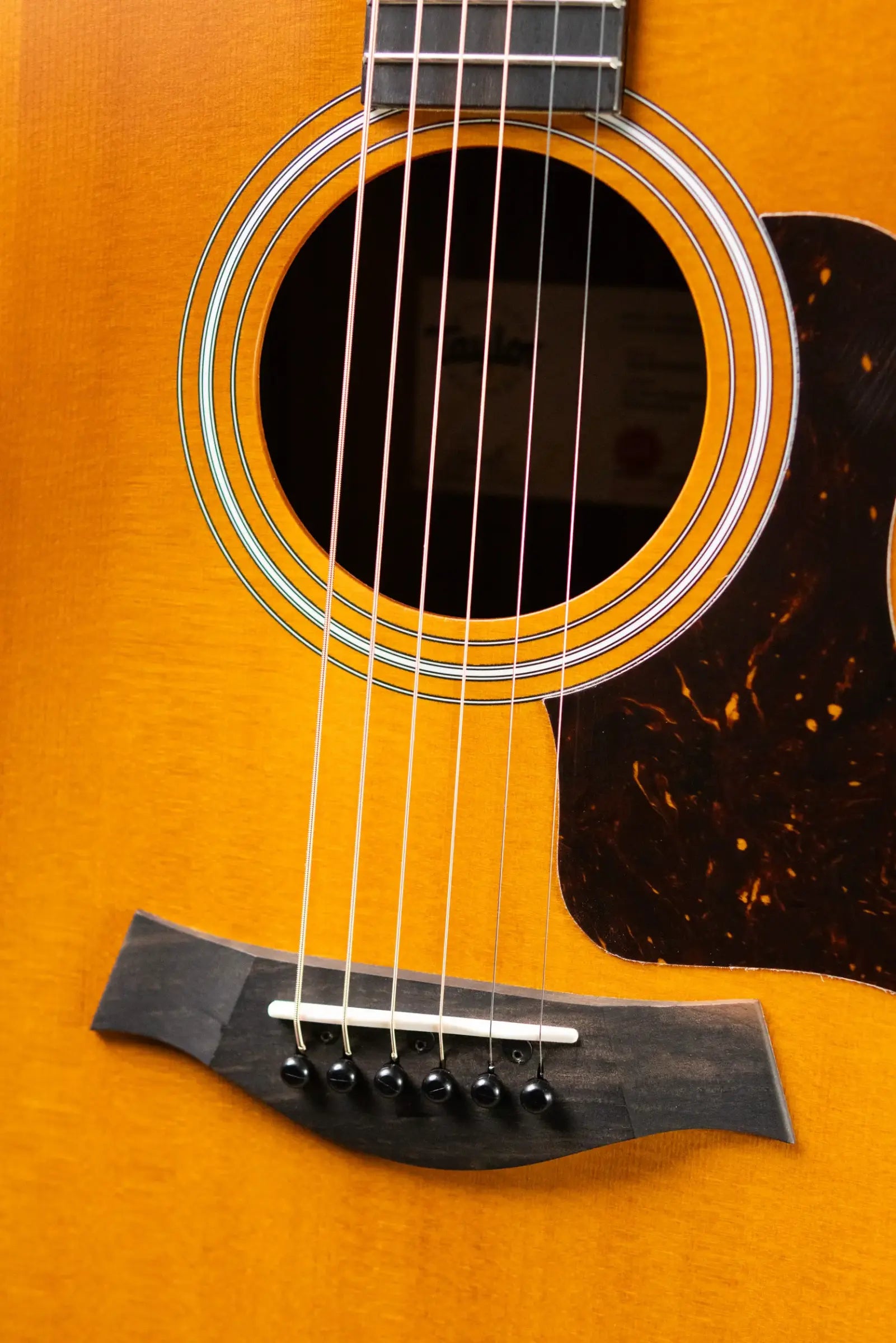 Taylor 214ce Special Edition Grand Auditorium Acoustic/Electric Guitar - Honeyburst with Gig Bag