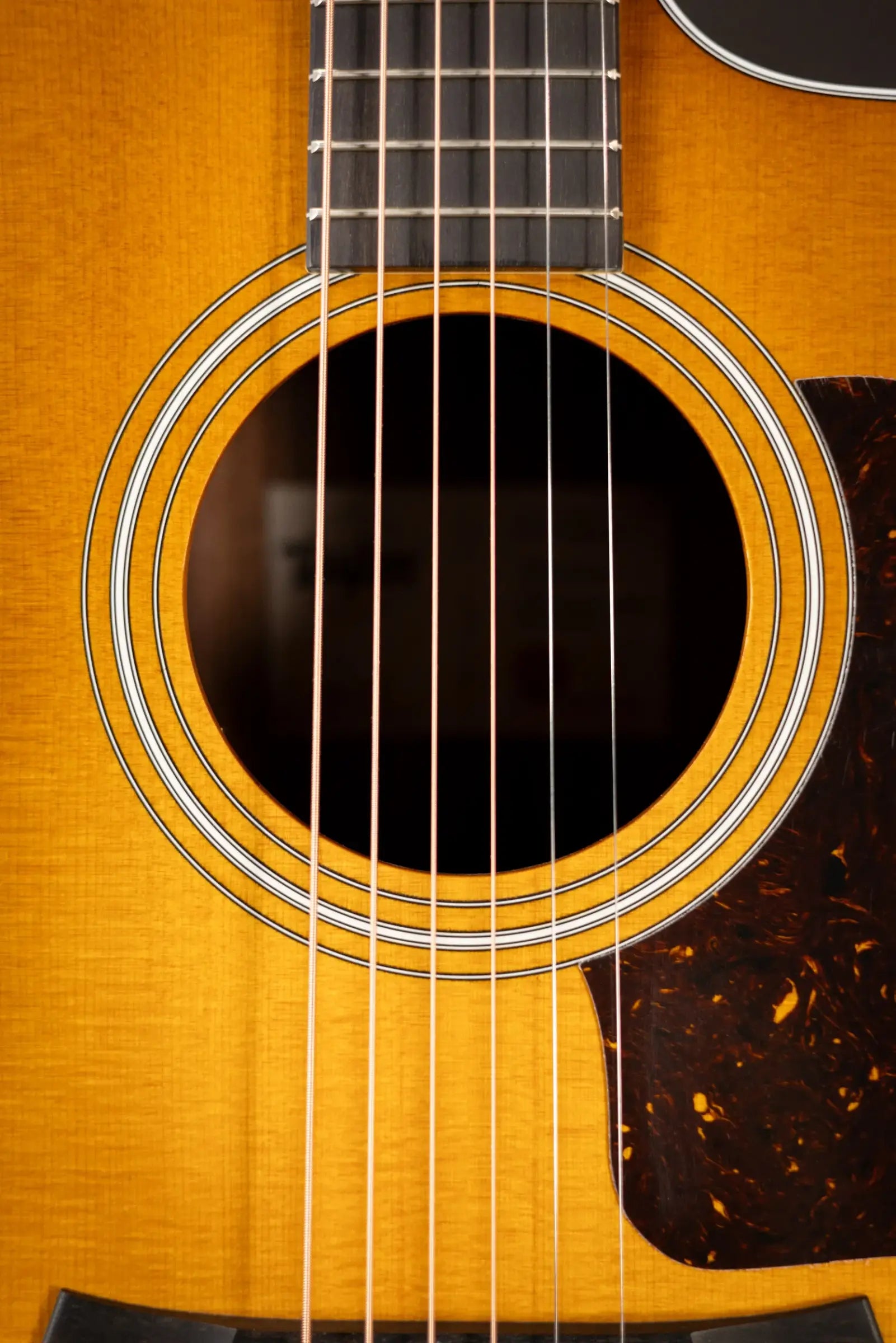 Taylor 214ce Special Edition Grand Auditorium Acoustic/Electric Guitar - Honeyburst with Gig Bag