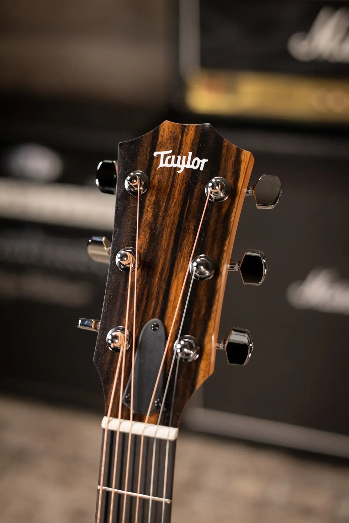 Taylor 214ce Special Edition Grand Auditorium Acoustic/Electric Guitar - Honeyburst with Gig Bag - Demo