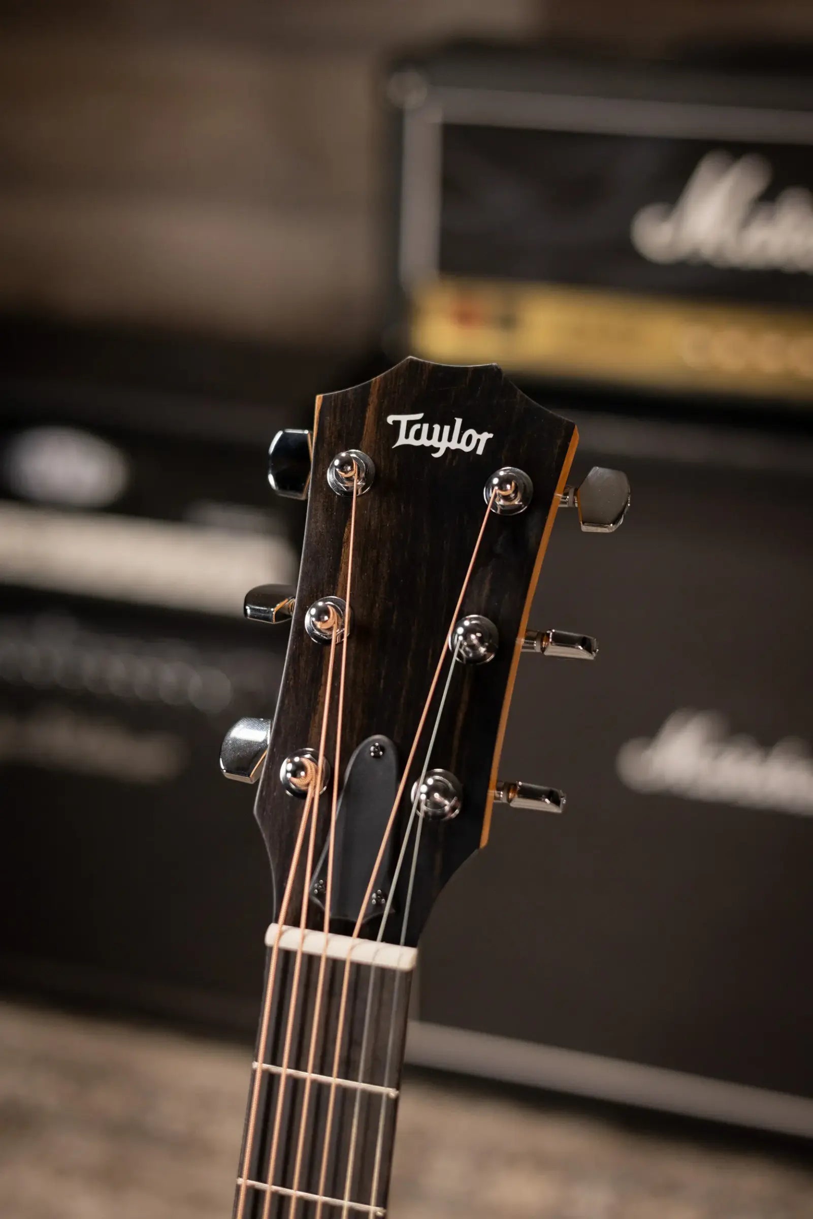 Taylor 214ce Special Edition Grand Auditorium Acoustic/Electric Guitar - Honeyburst with Gig Bag