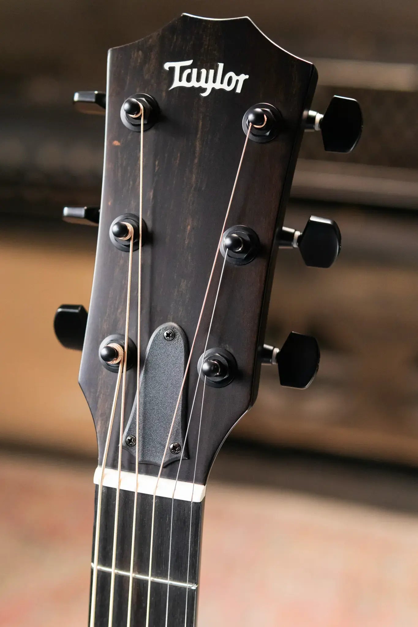 Taylor 214ce Special Edition Grand Auditorium Acoustic/Electric Guitar - Trans Blue Top with Gig Bag