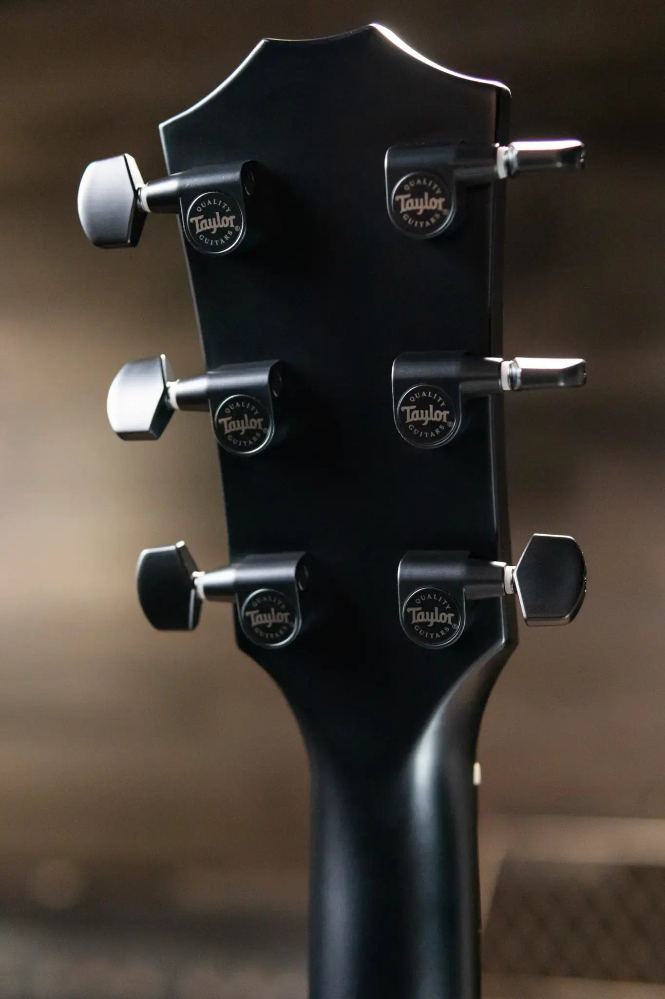 Taylor 214ce Special Edition Grand Auditorium Acoustic/Electric Guitar - Trans Blue Top with Gig Bag