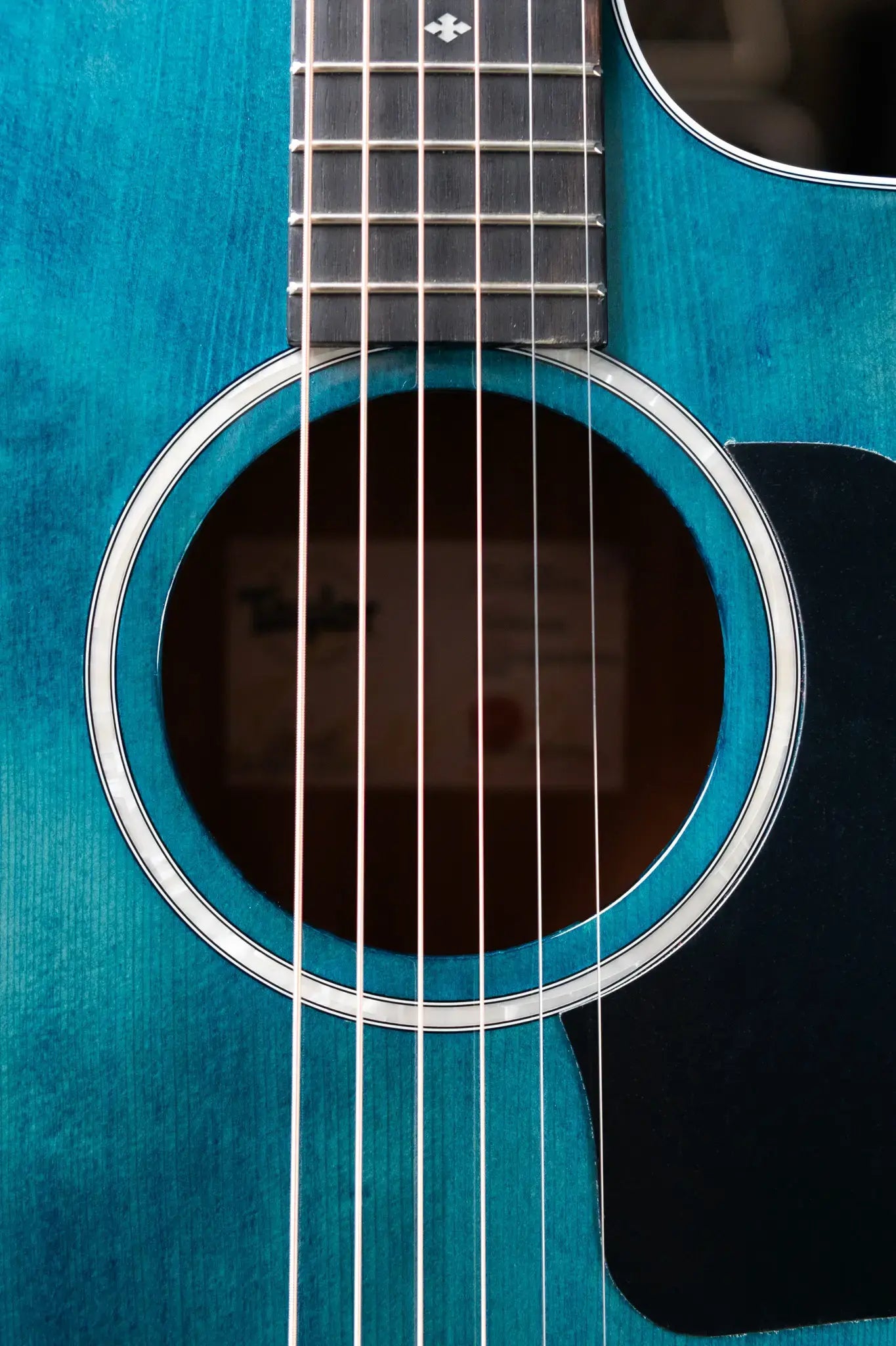 Taylor 214ce Special Edition Grand Auditorium Acoustic/Electric Guitar - Trans Blue Top with Gig Bag